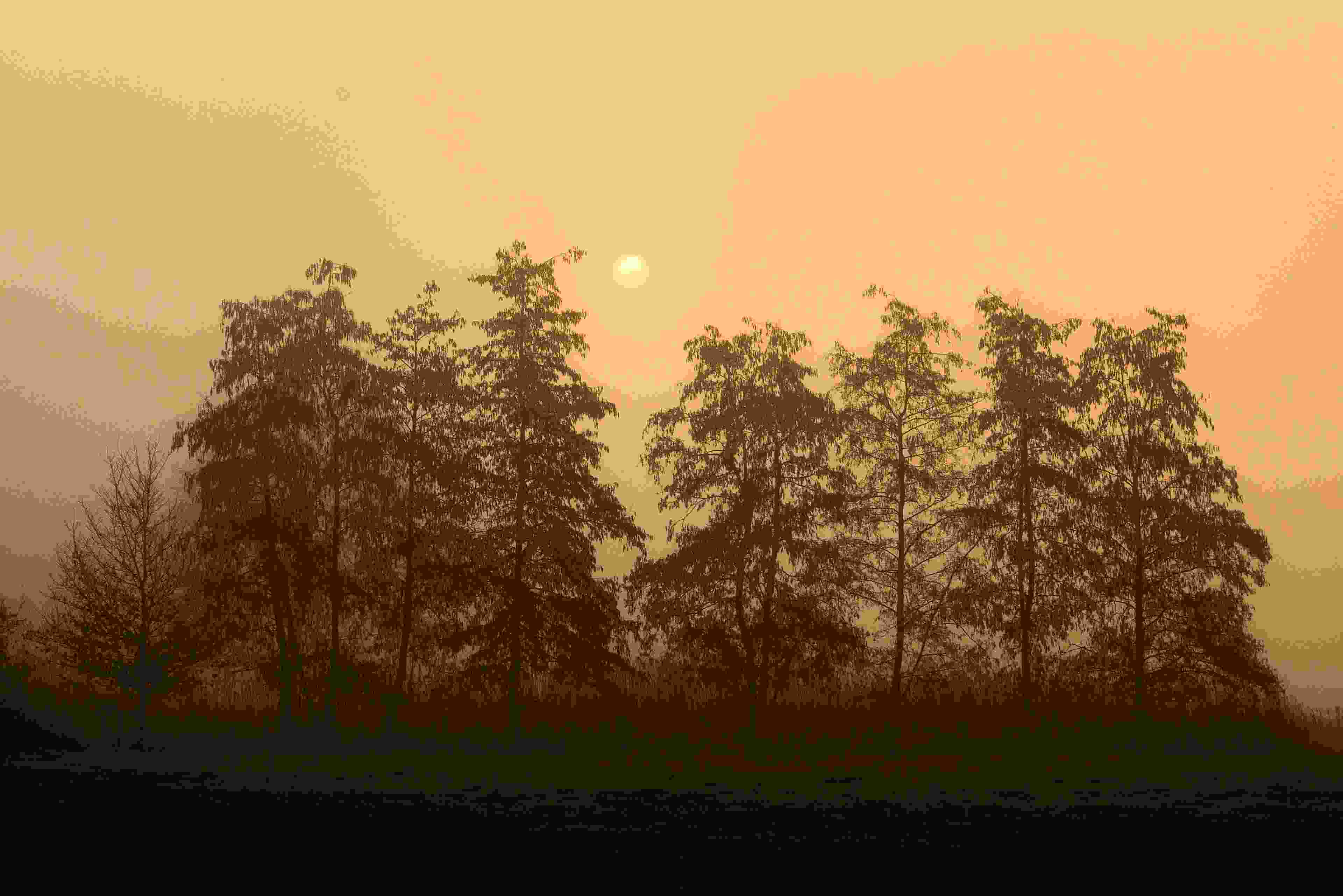 Image de couverture de l'article de blog