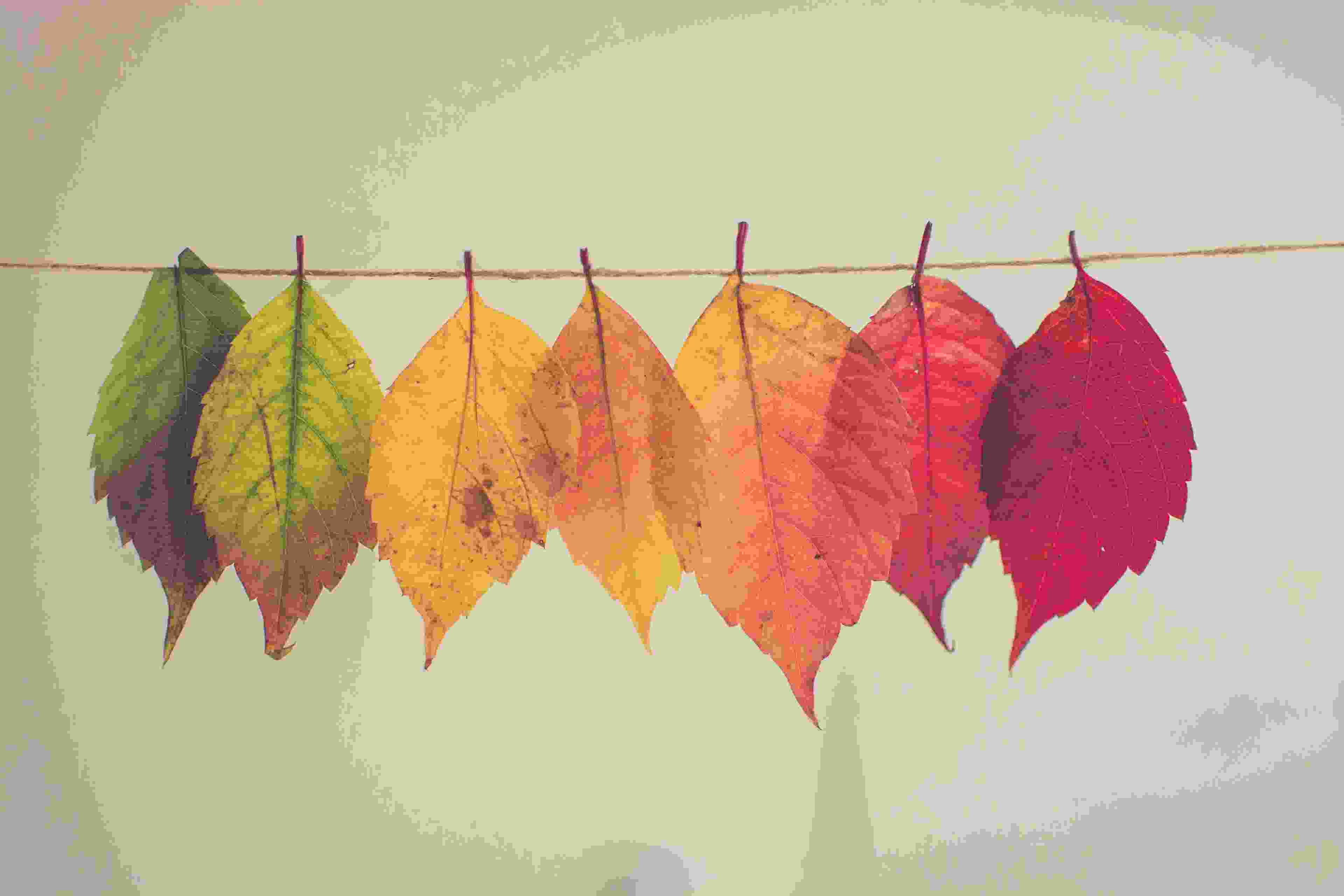 Image de couverture de l'article de blog