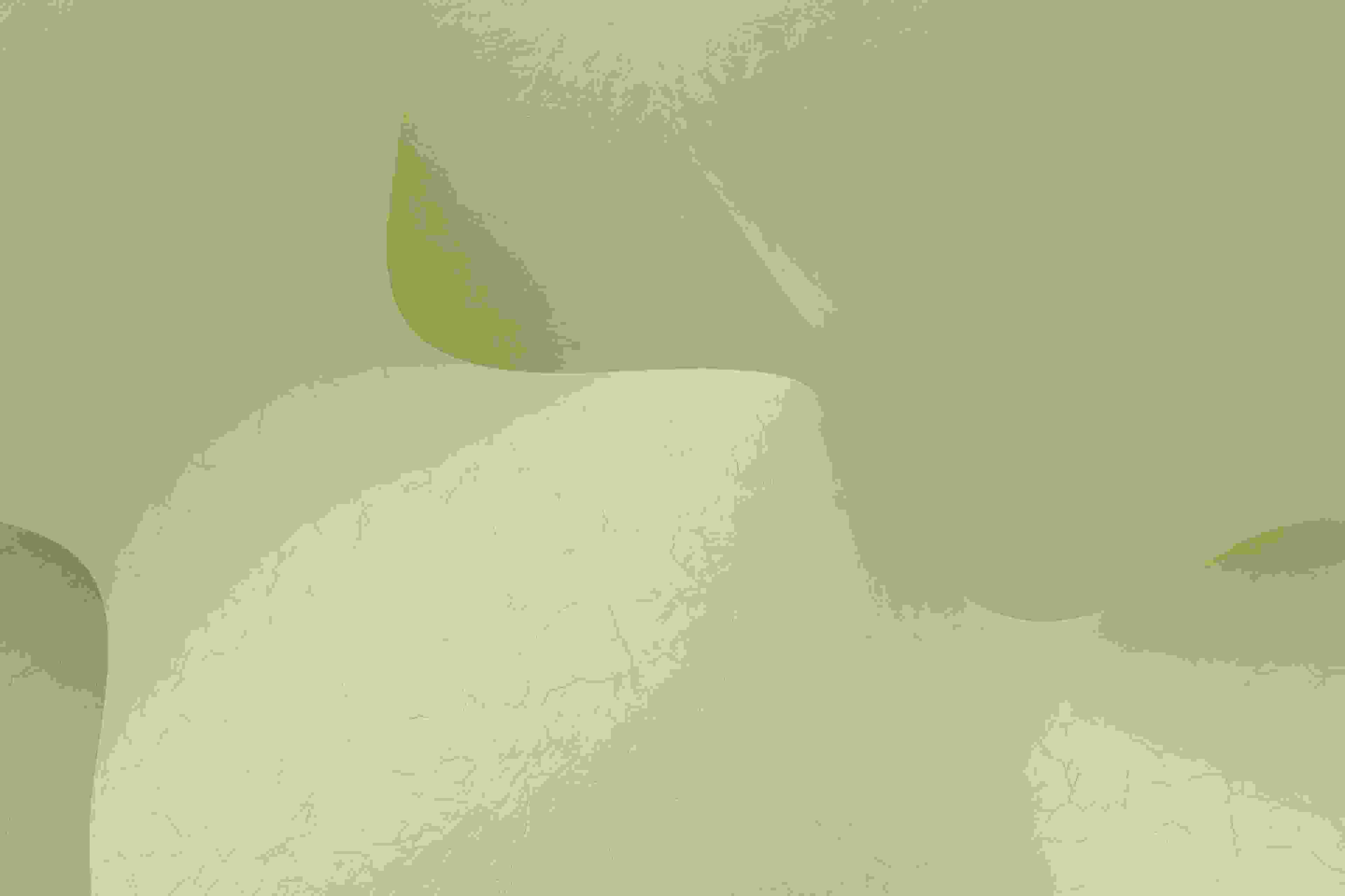 Image de couverture de l'article de blog