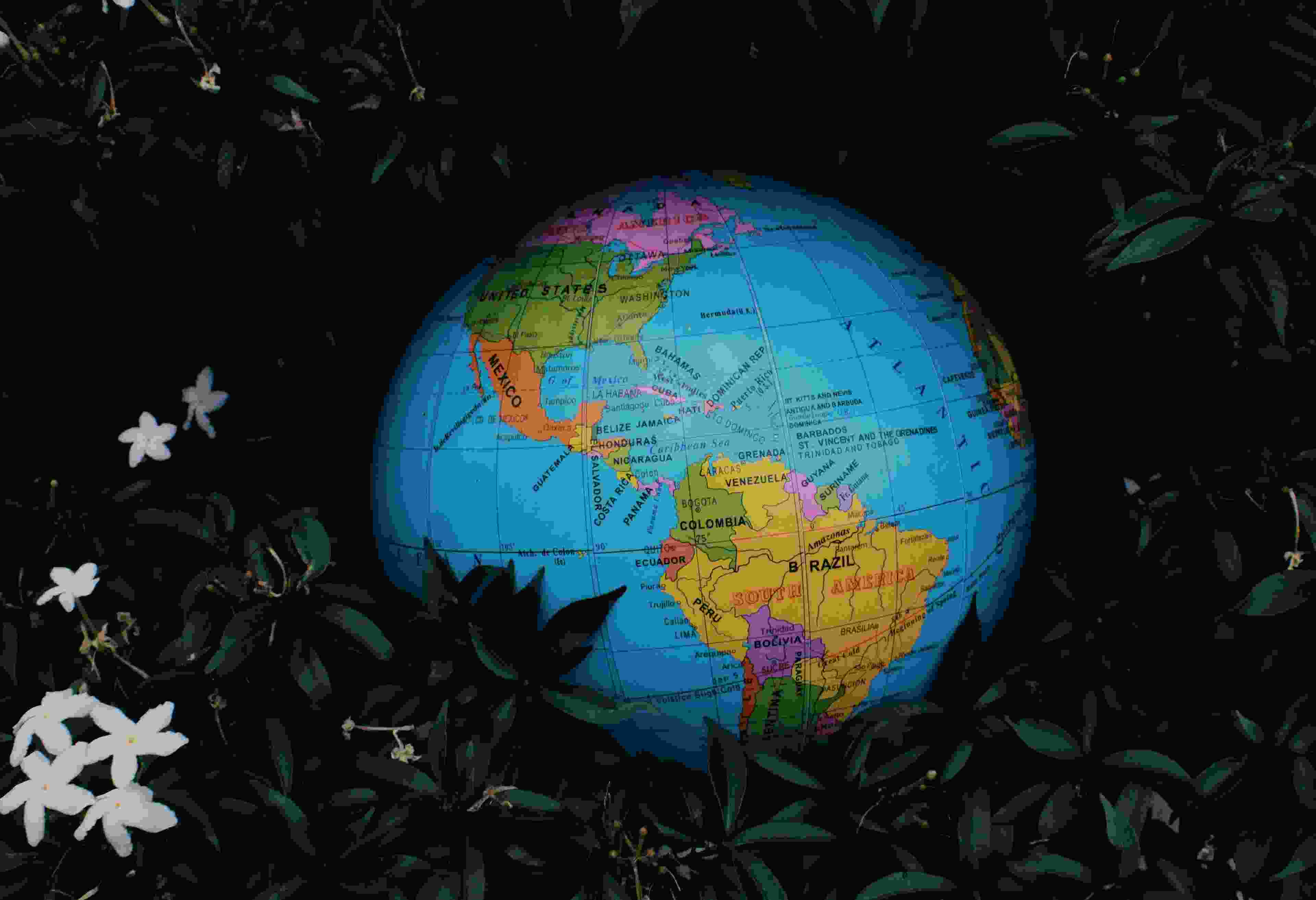 Image de couverture de l'article de blog