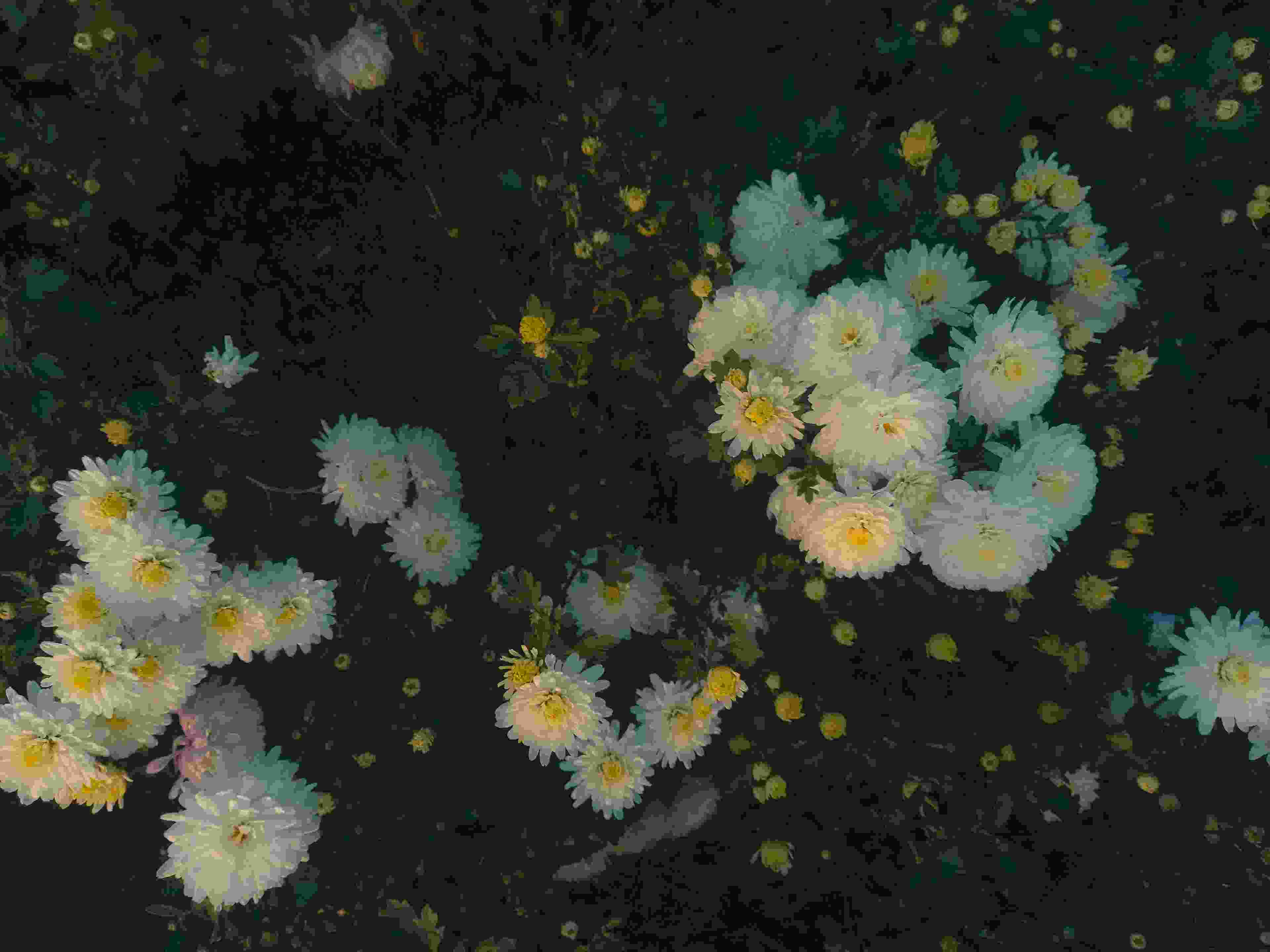 Image de couverture de l'article de blog