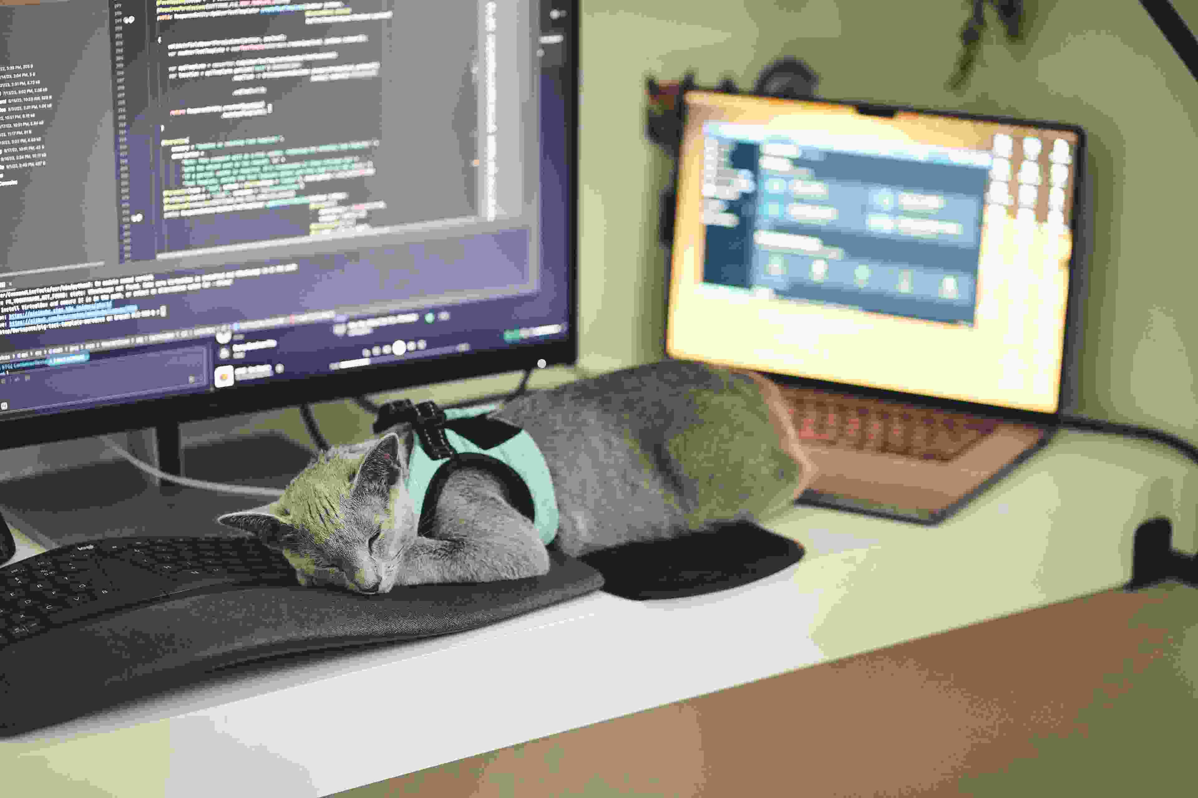 Image de couverture de l'article de blog