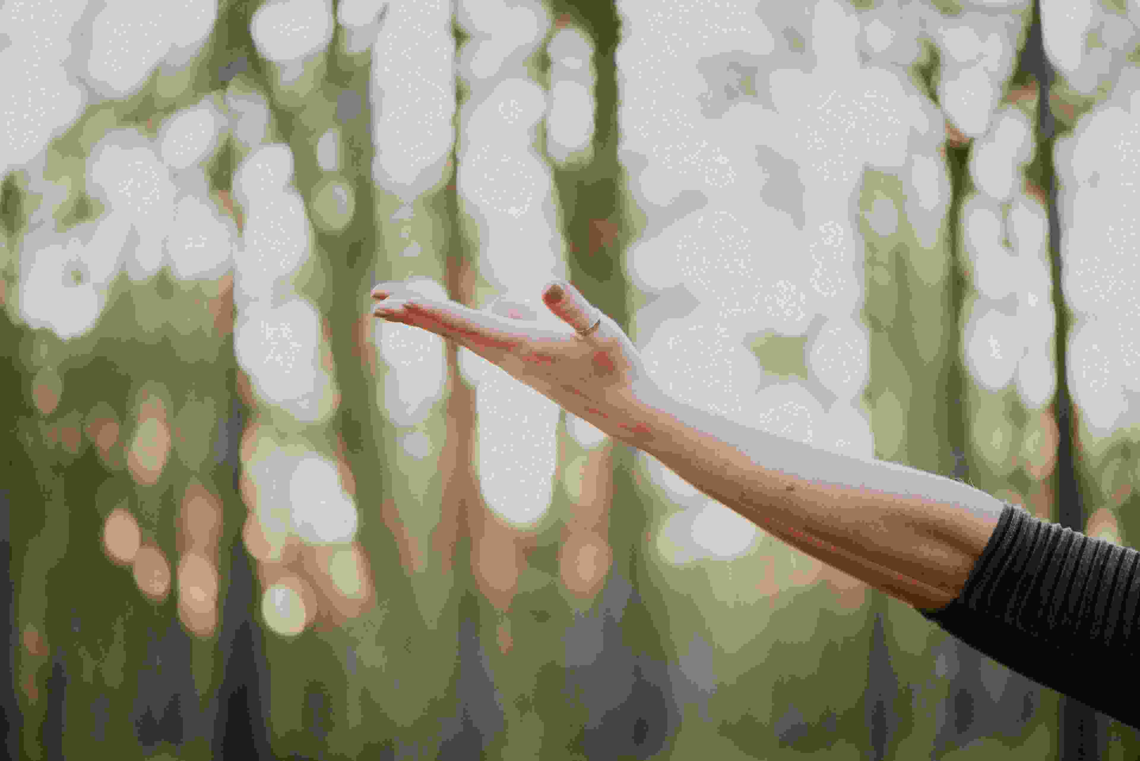 Image de couverture de l'article de blog
