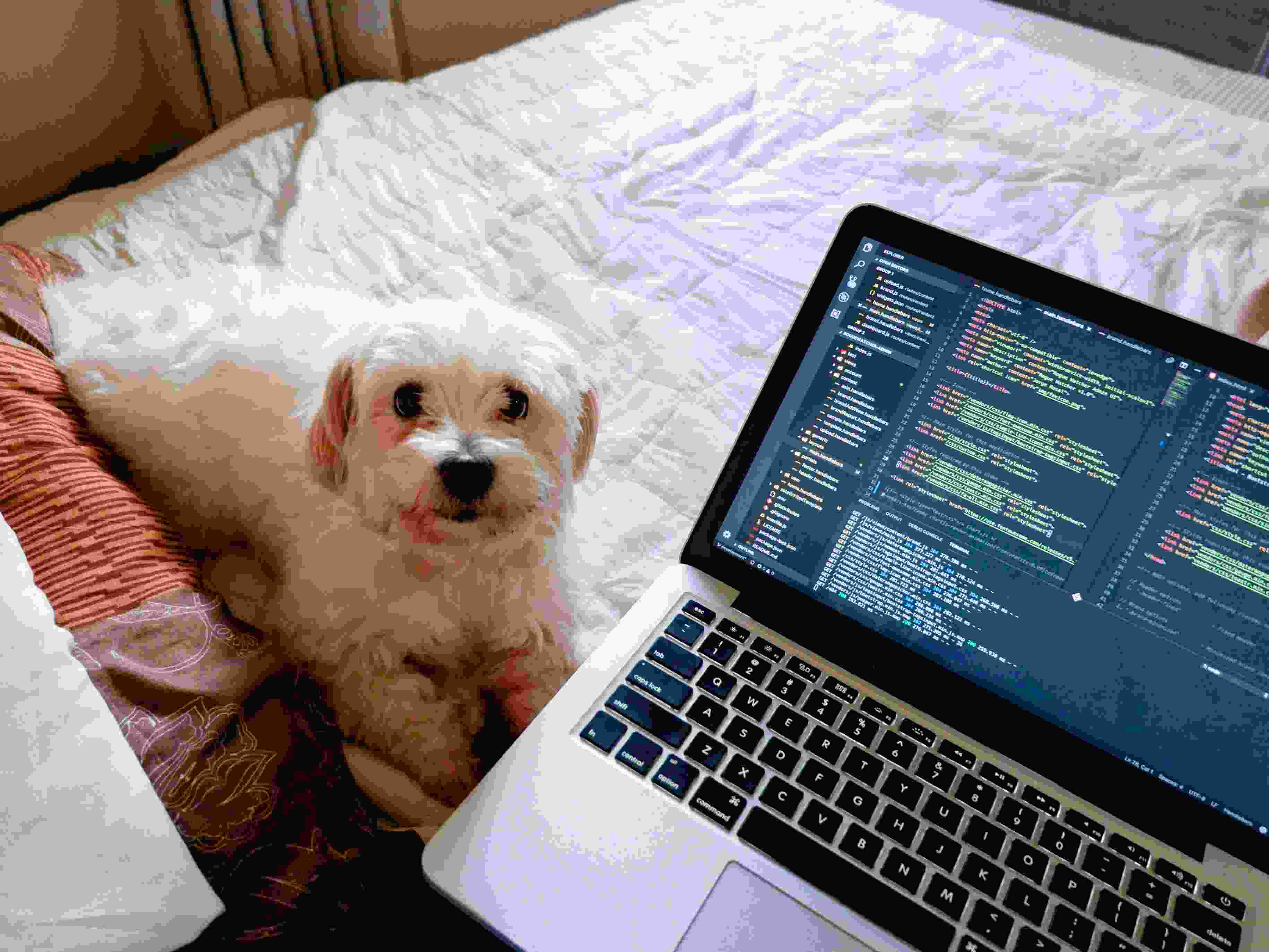 Image de couverture de l'article de blog