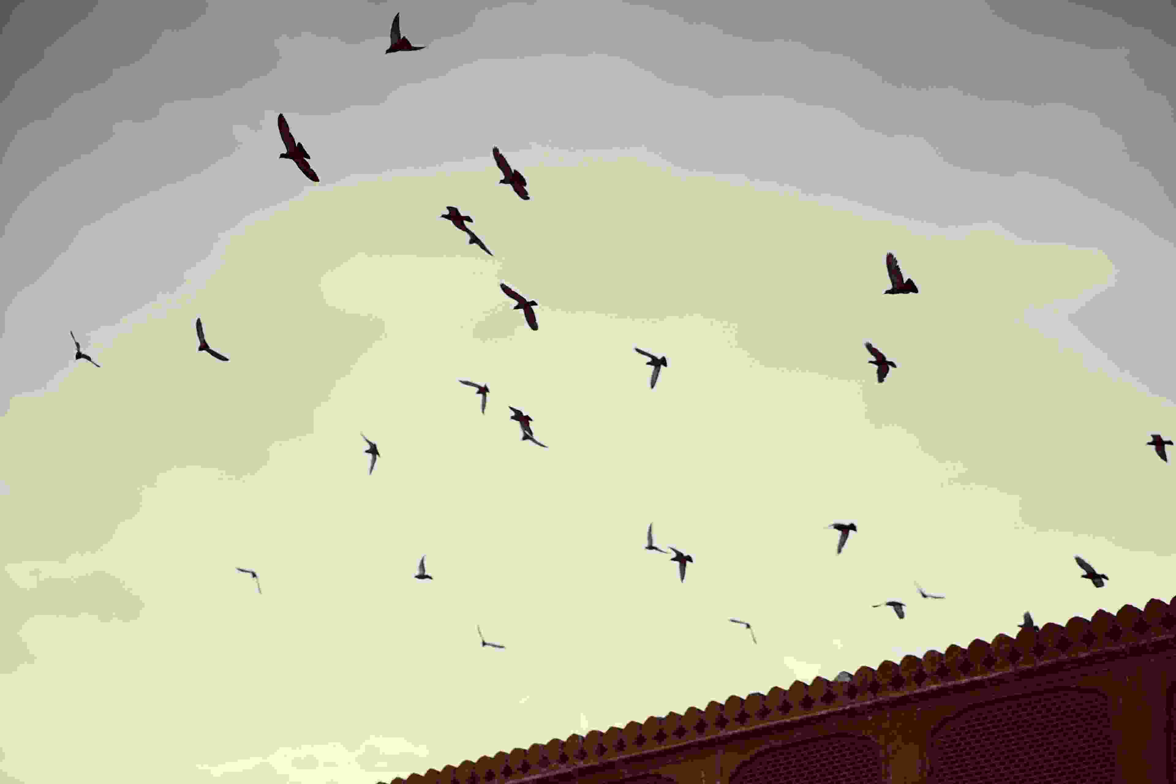 Image de couverture de l'article de blog