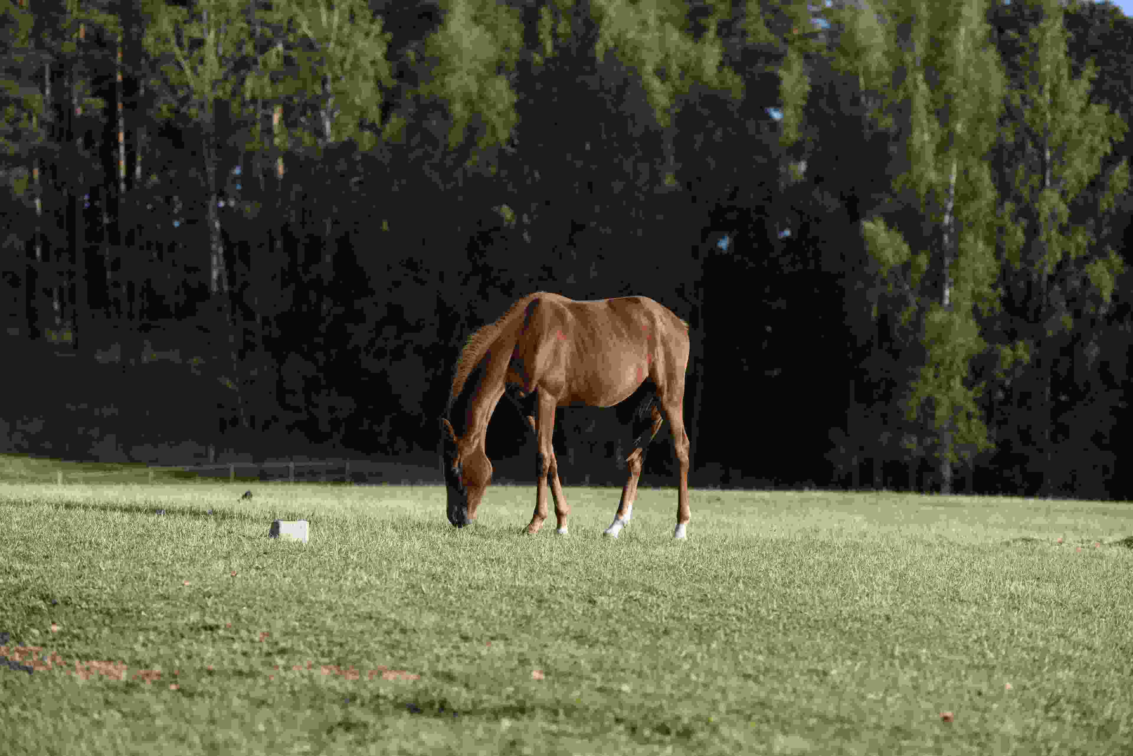 Image de couverture de l'article de blog