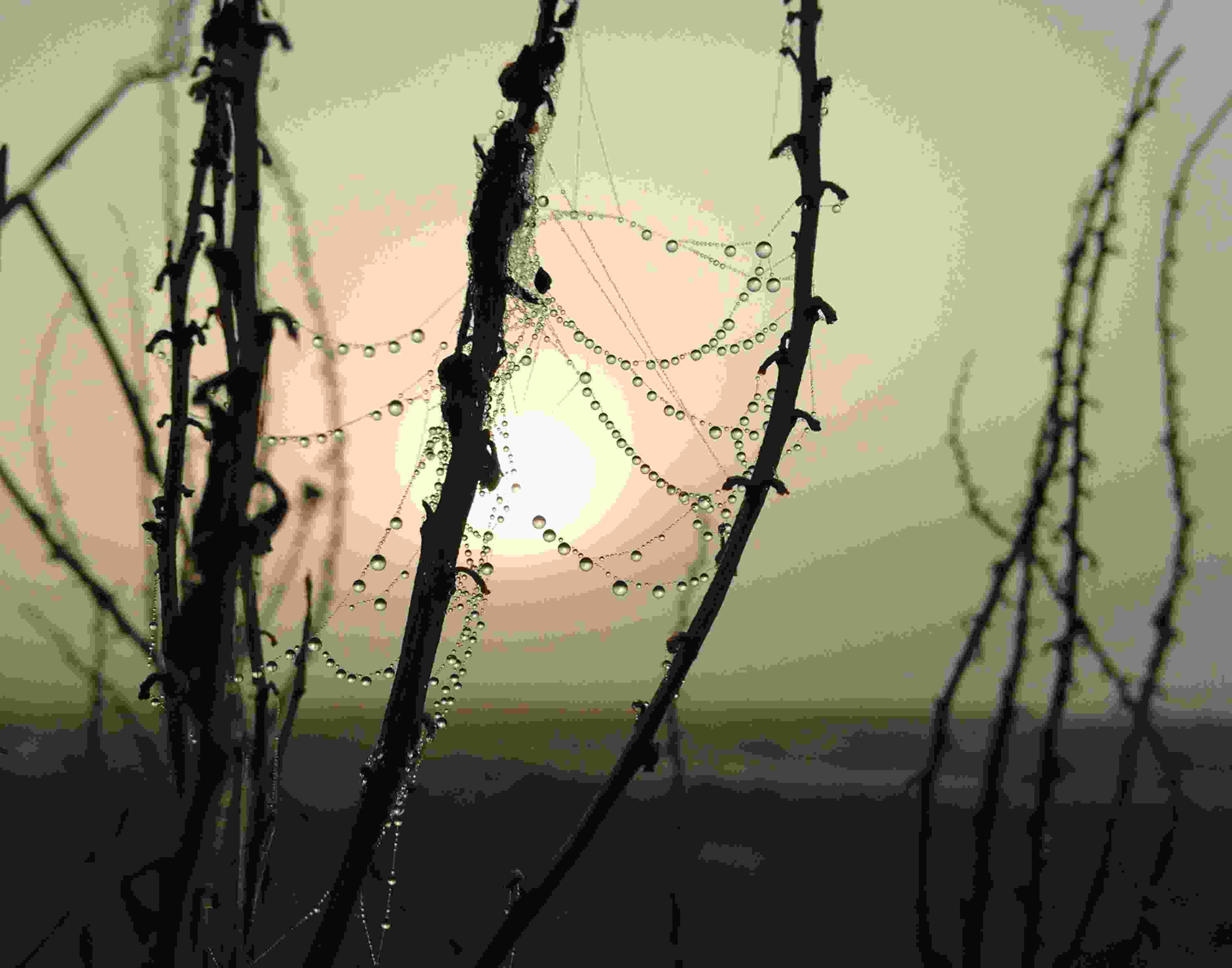 Image de couverture de l'article de blog