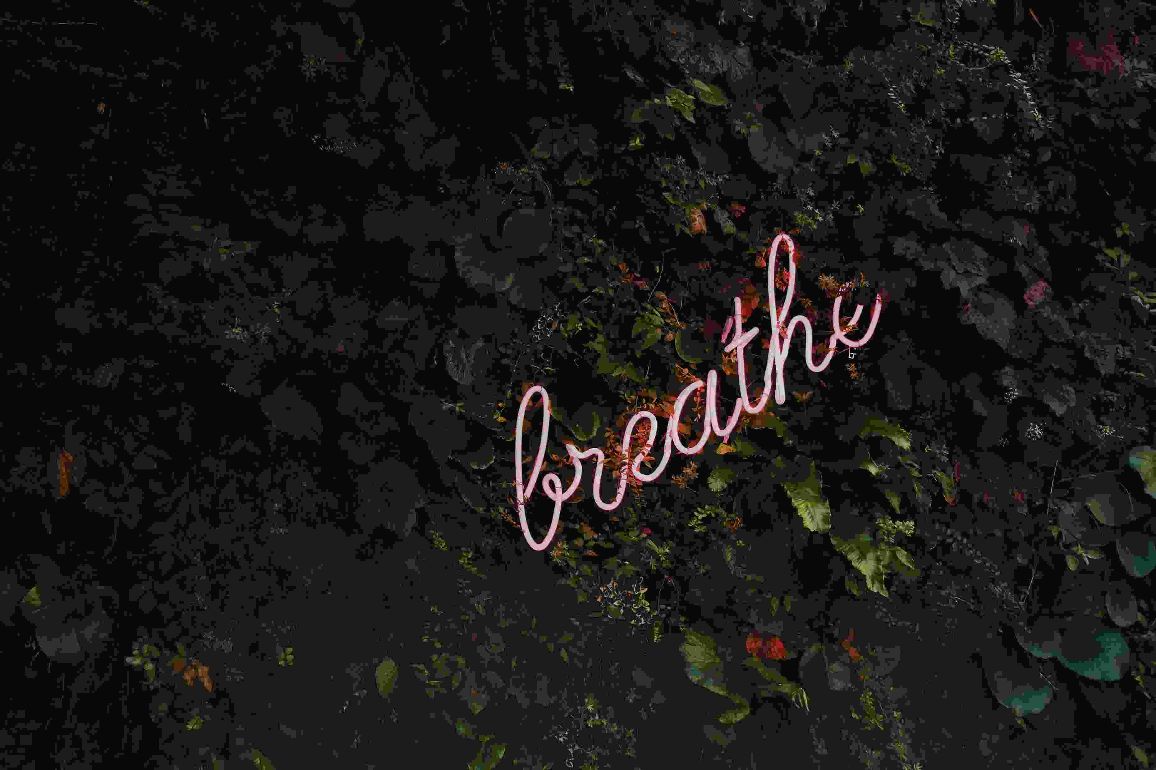 Image de couverture de l'article de blog