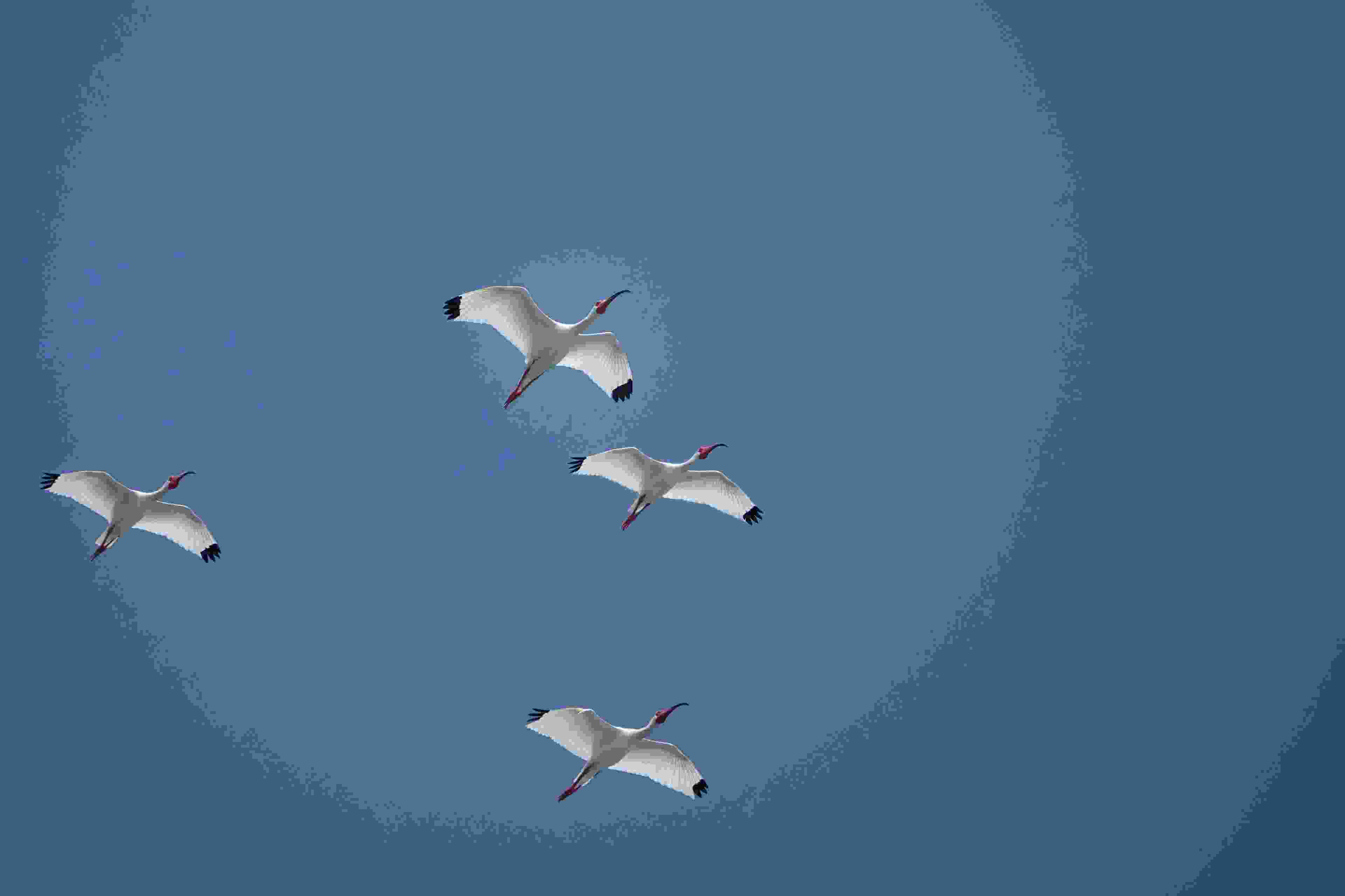 Image de couverture de l'article de blog