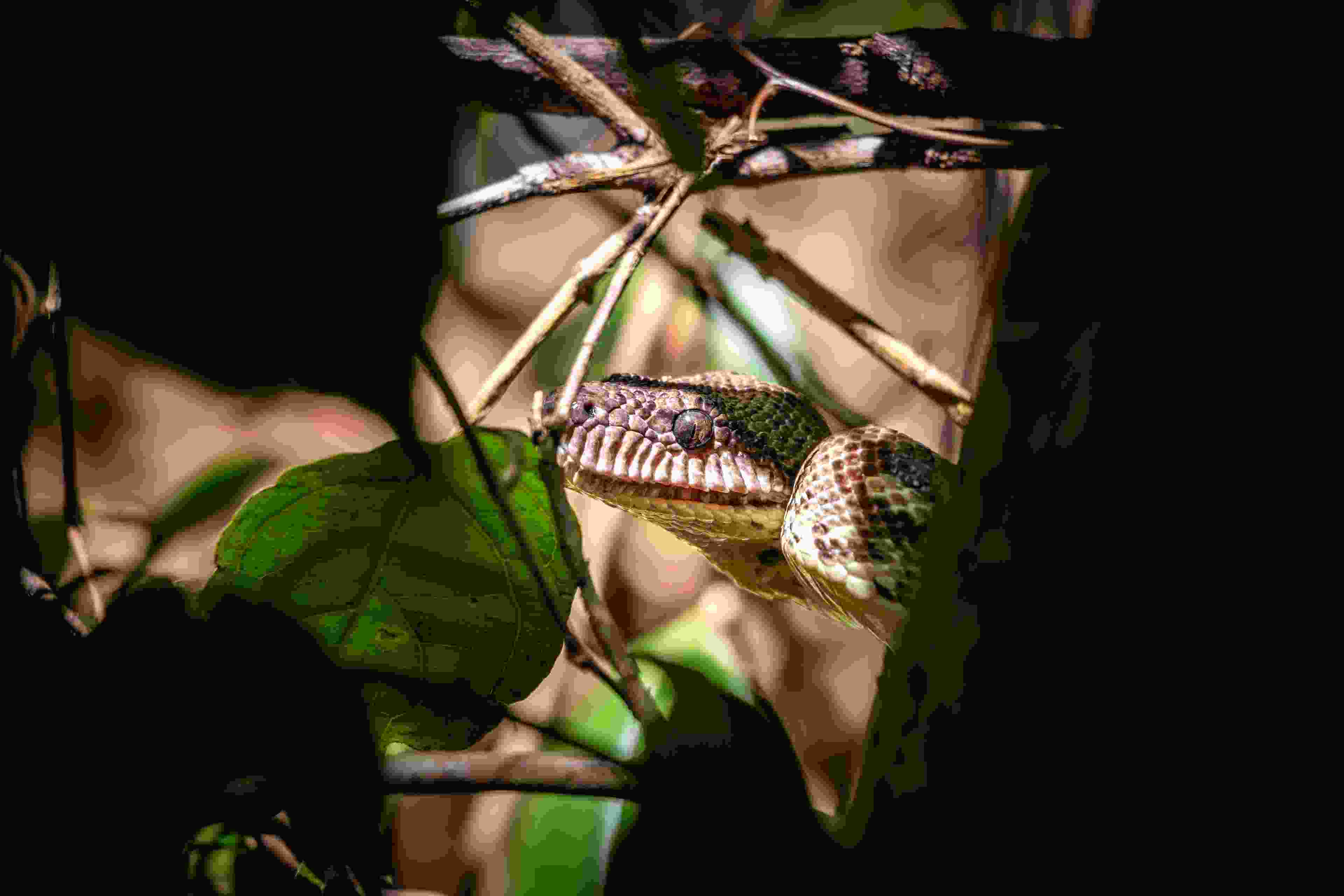 Image de couverture de l'article de blog