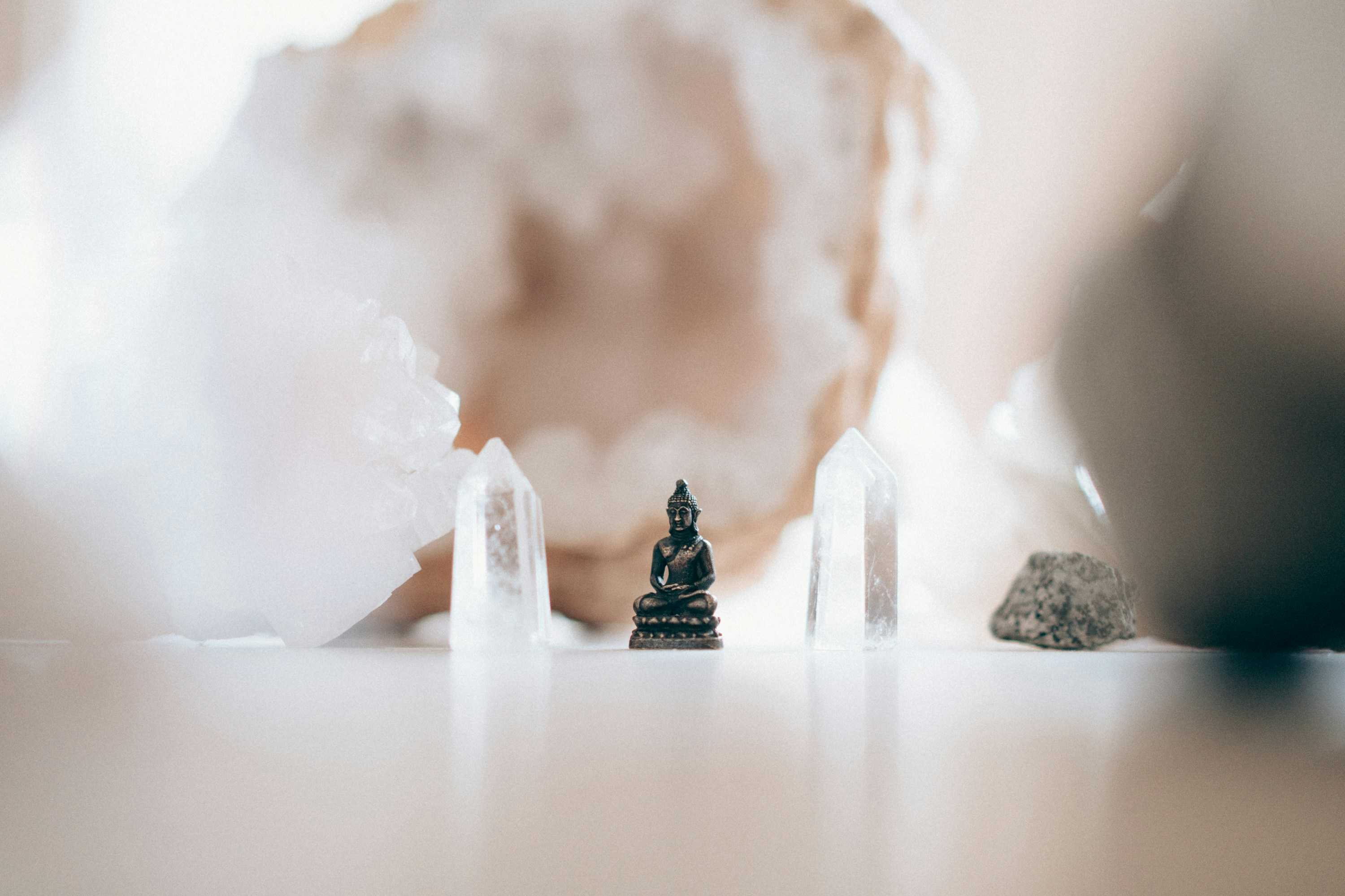 Image de couverture de l'article Personnalisation avancée de WordPress pour les annuaires en ligne : au-delà des thèmes standards