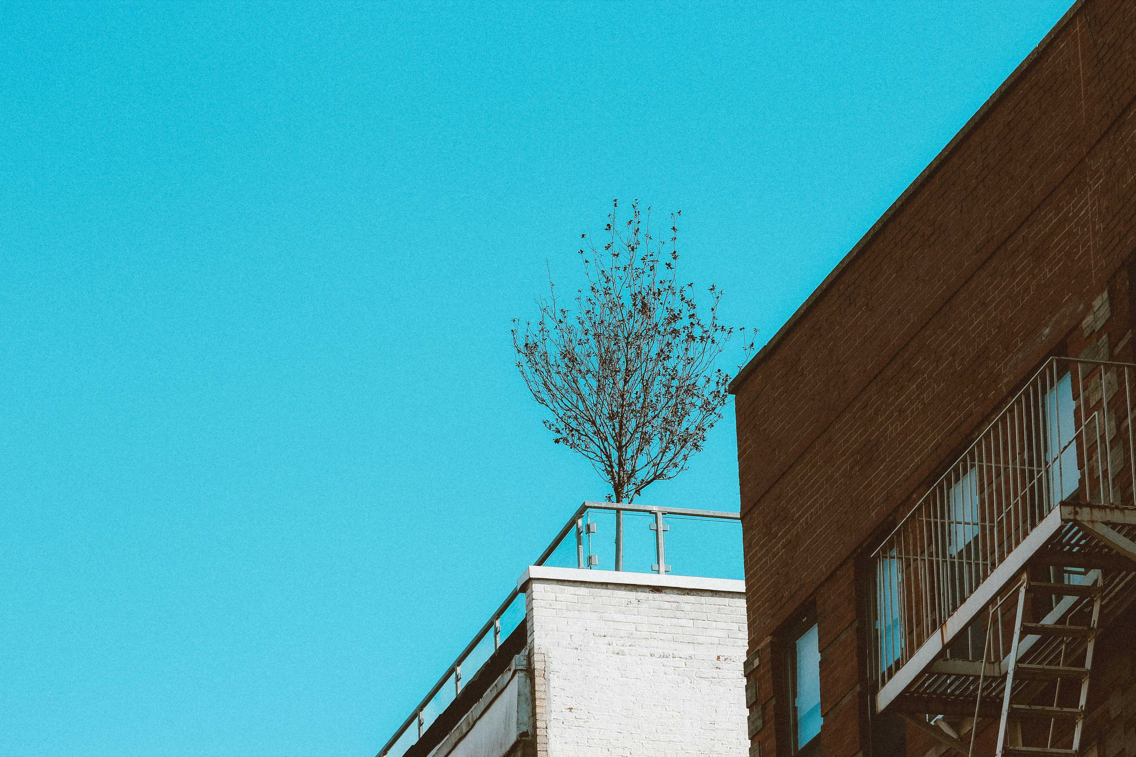Image de couverture de l'article Optimiser la valorisation immobilière grâce à une solution WordPress sur mesure