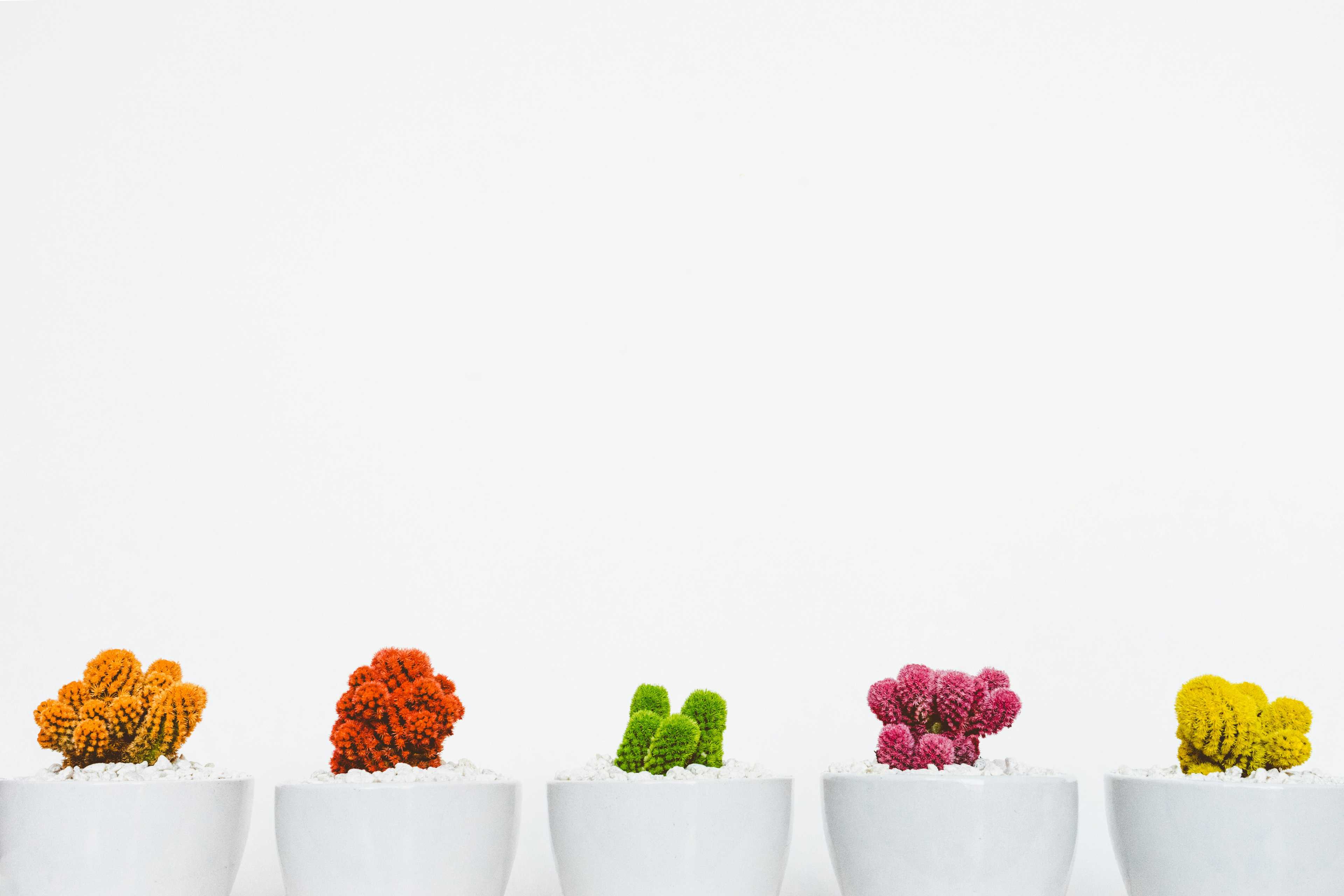 Image de couverture de l'article Créer un site web professionnel pour consultants QSE : Guide stratégique et bonnes pratiques