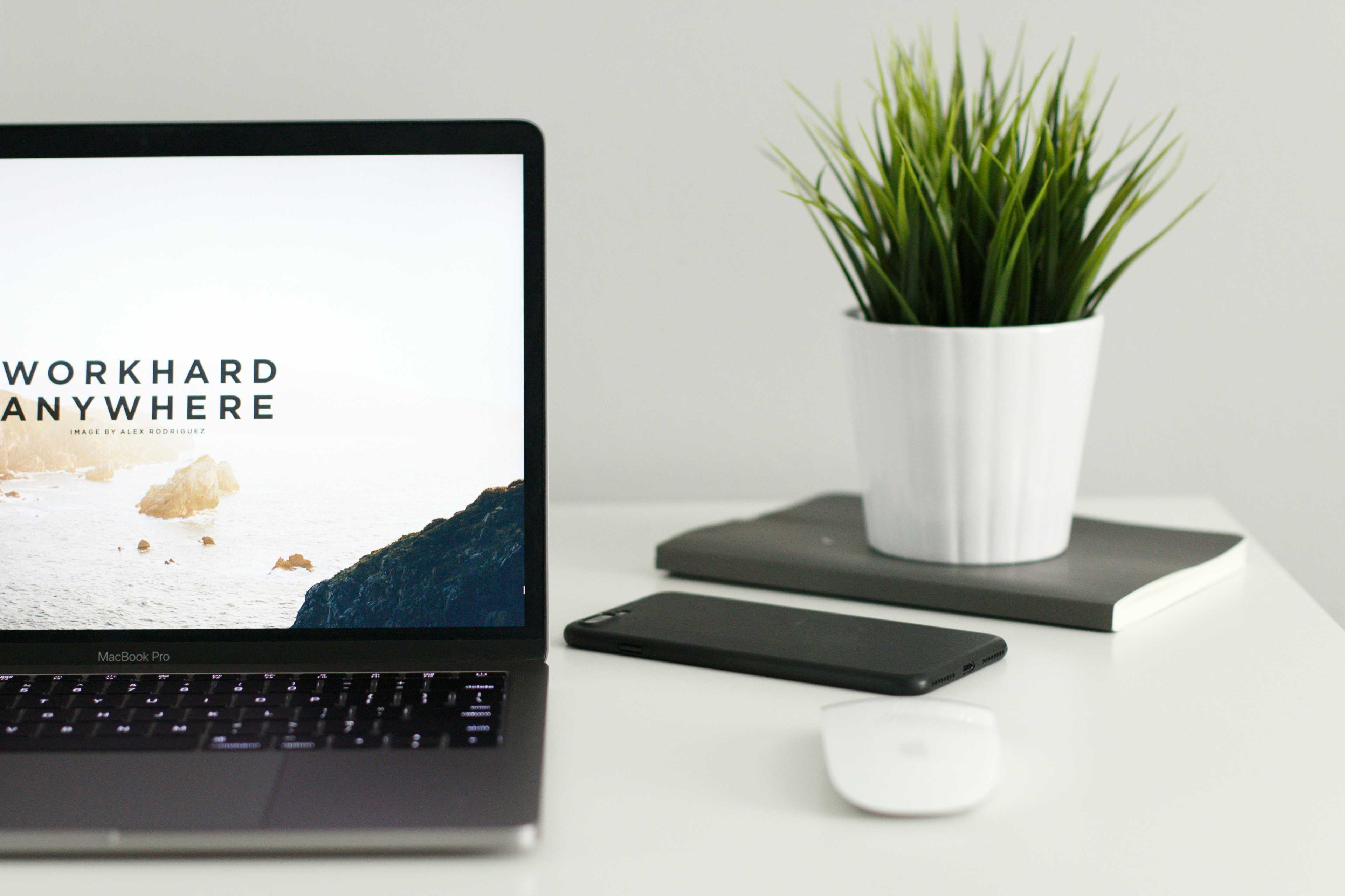 Image de couverture de l'article WordPress pour les professionnels de santé : Comment déployer rapidement une plateforme médicale performante