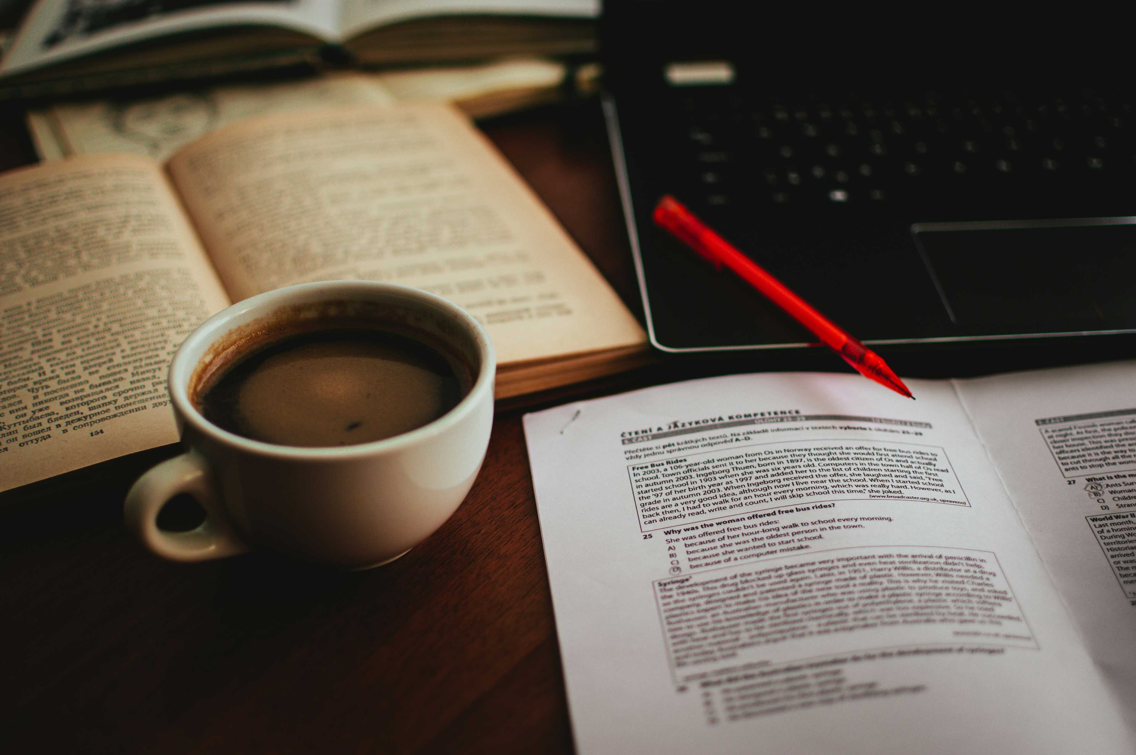 Image de couverture de l'article WordPress pour les sites d'annonces premium : optimisation, performance et monétisation