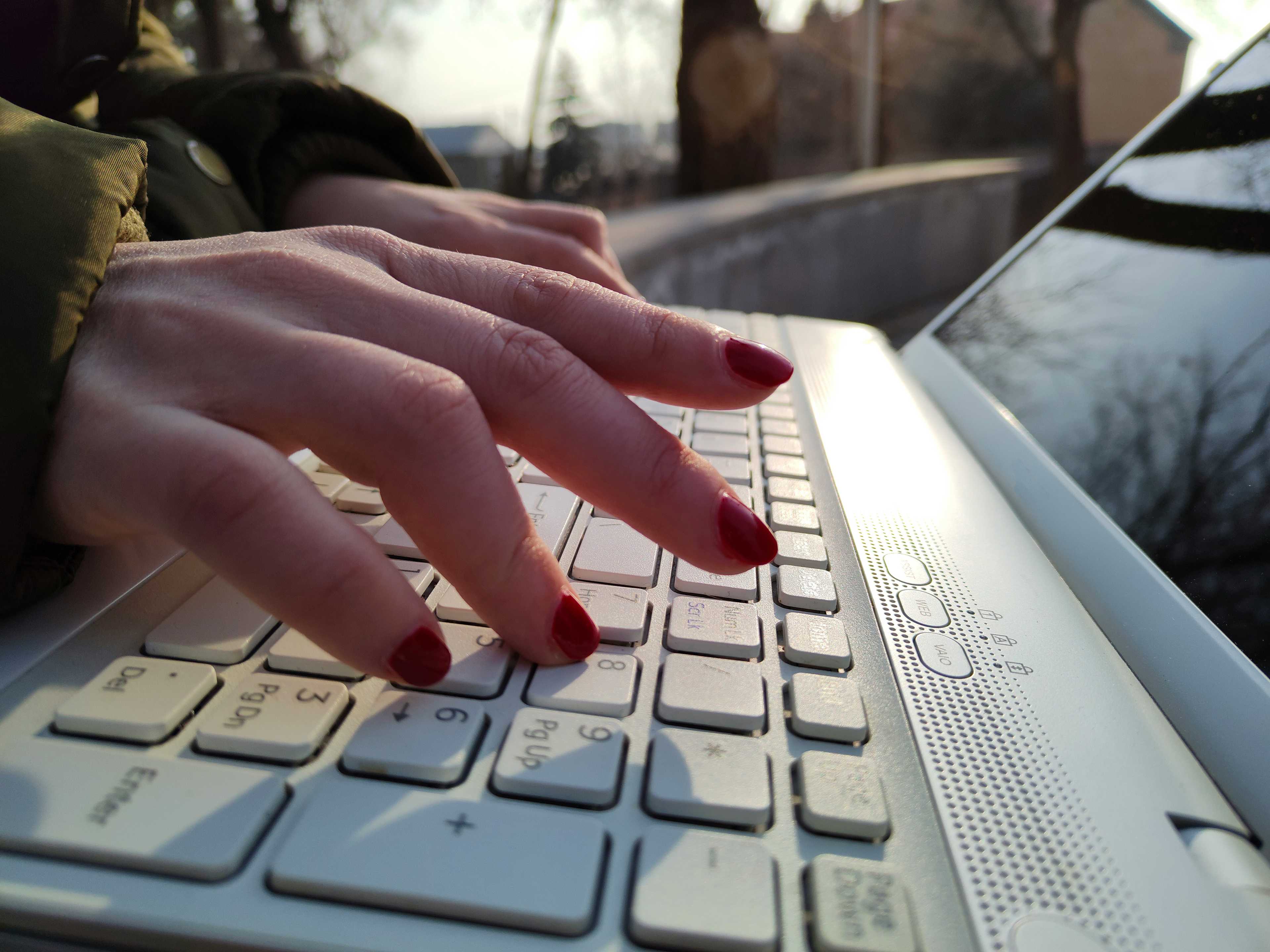 Image de couverture de l'article WordPress pour l'industrie alimentaire : Comment créer une plateforme digitale complète et évolutive