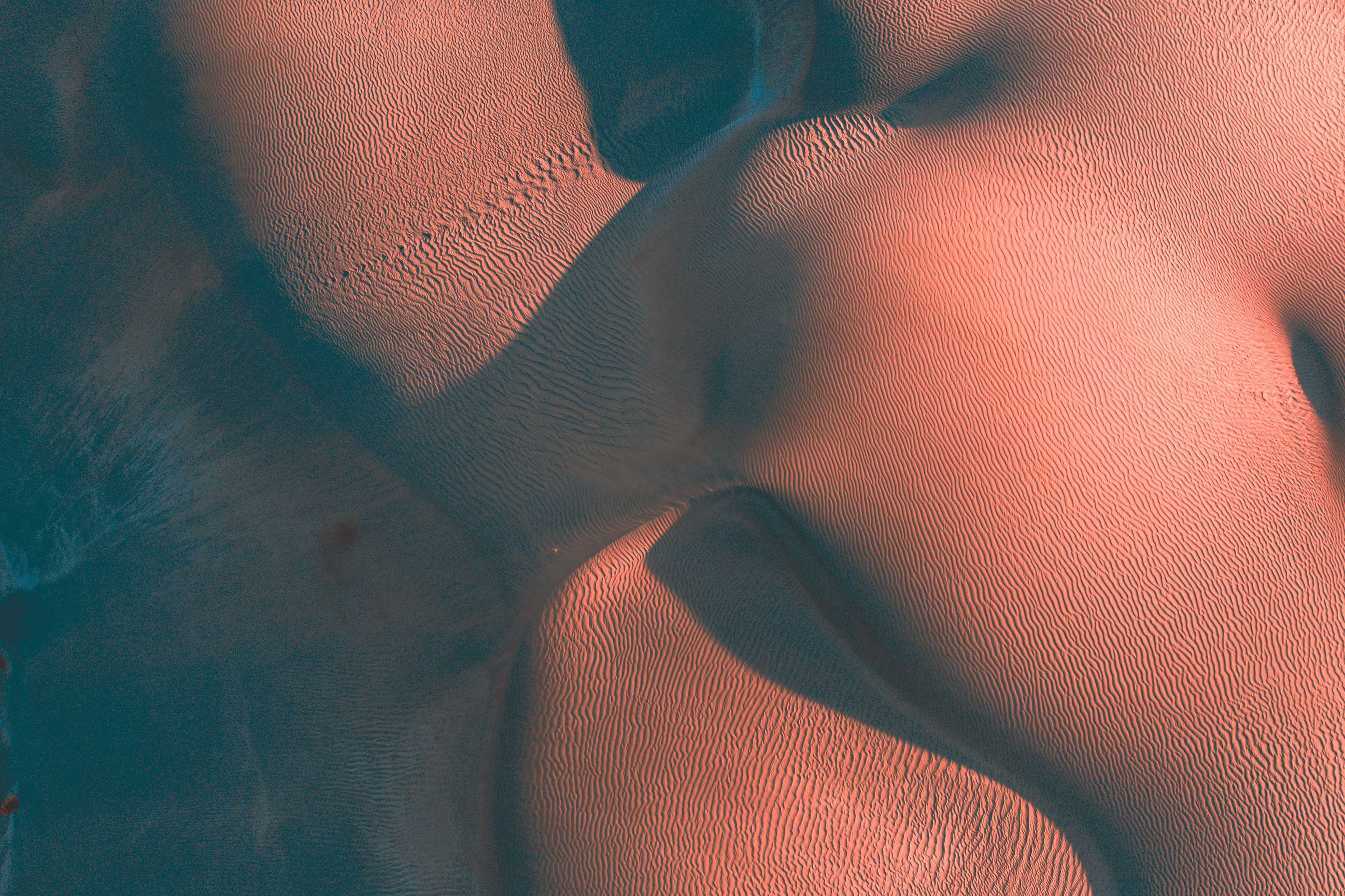 Image de couverture de l'article Comment créer un e-commerce performant dans un secteur de niche : stratégies et bonnes pratiques