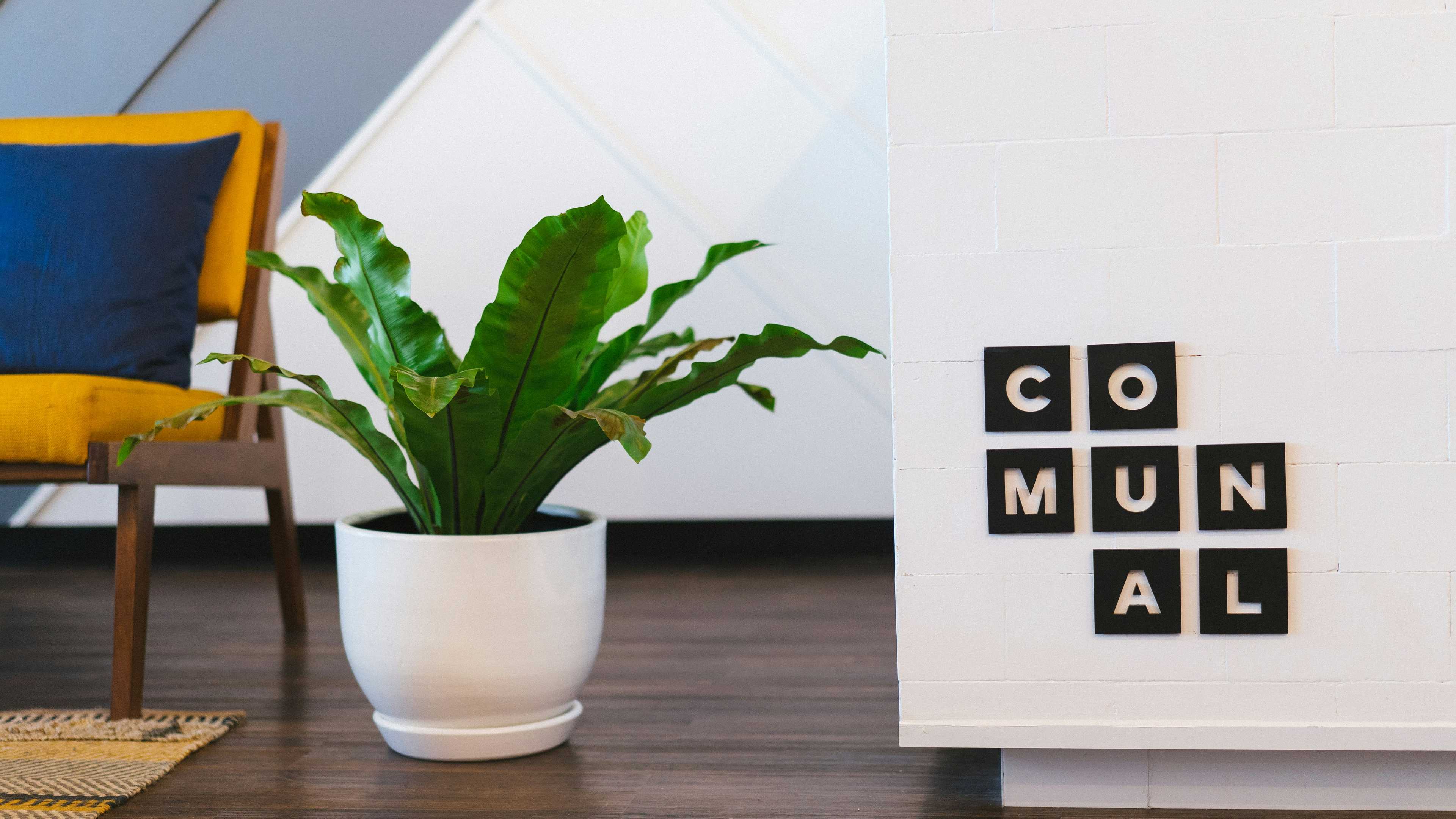 Image de couverture de l'article Développer un module d'estimation immobilière sur WordPress : Guide complet pour les professionnels