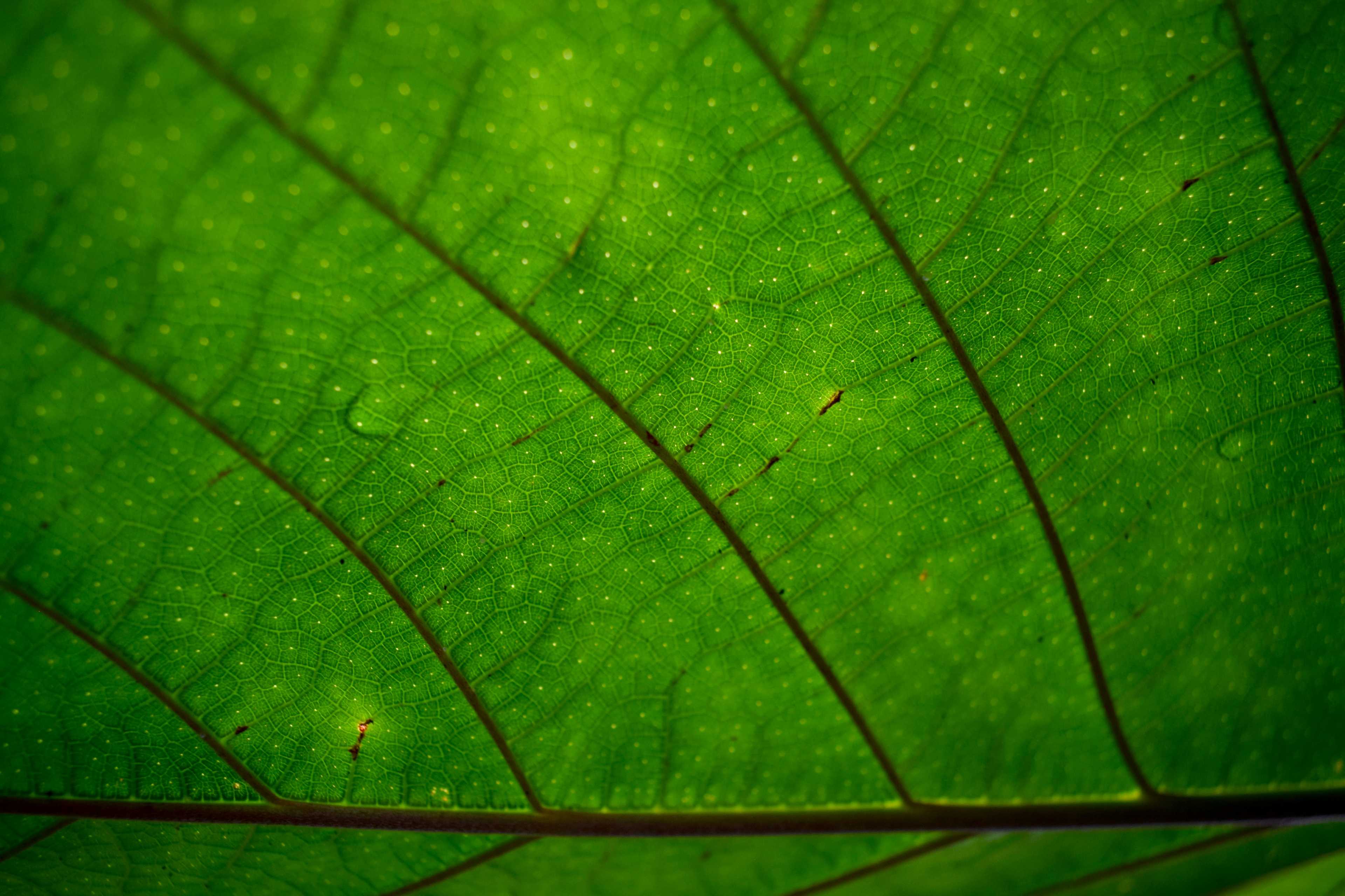 Image de couverture de l'article Comment créer une boutique en ligne éco-responsable performante en 2024