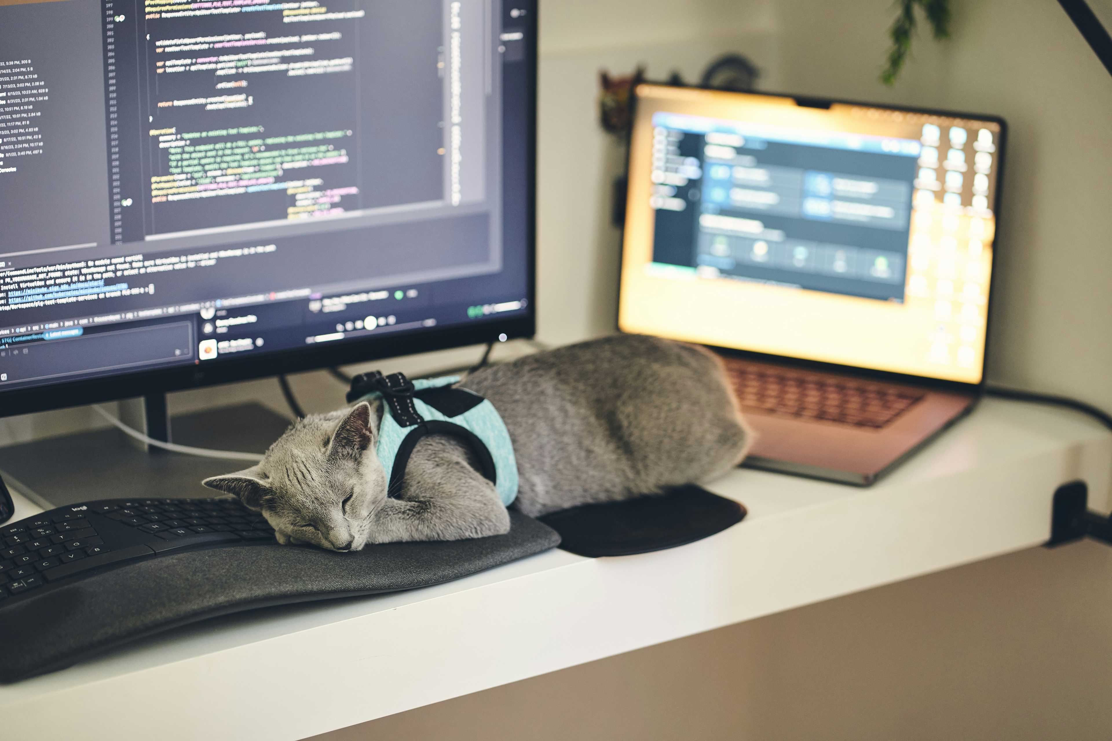 Image de couverture de l'article De l'idée au MVP : Comment finaliser efficacement votre application React avec Firebase