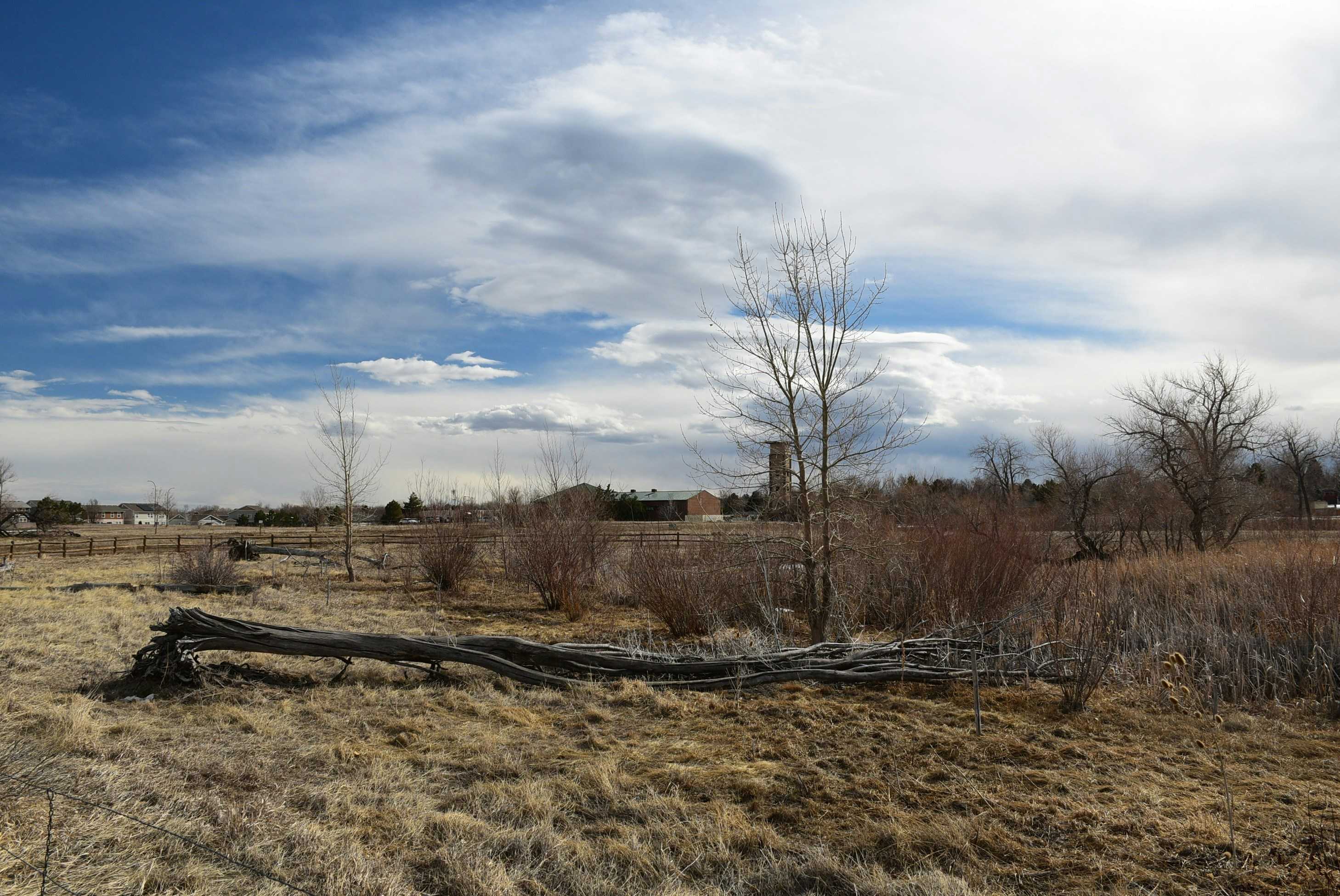 Image de couverture de l'article L'avenir du coworking : Comment créer une plateforme digitale performante pour la réservation d'espaces de travail