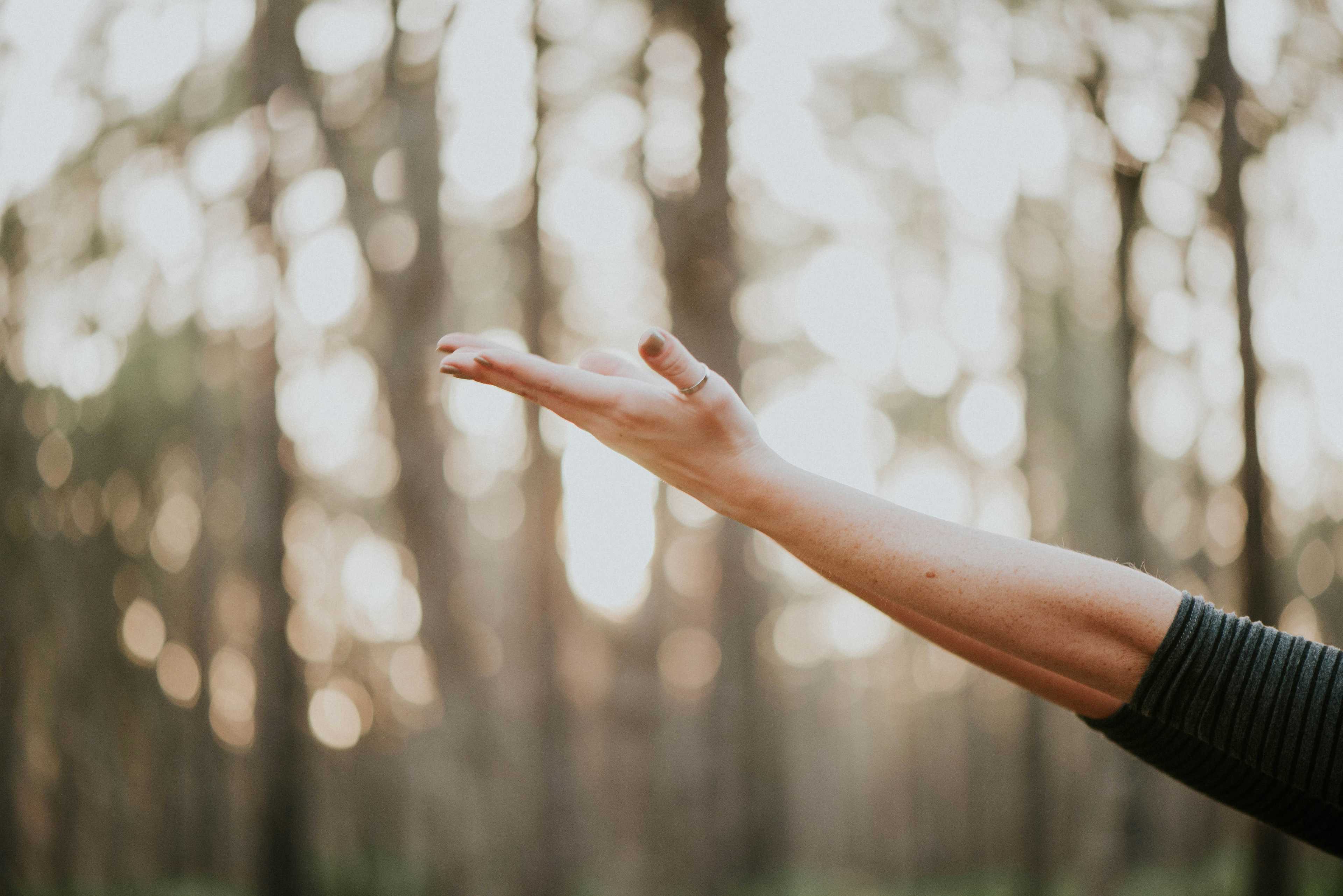 Image de couverture de l'article Comment créer une boutique Shopify performante qui se démarque dans l'univers des cosmétiques