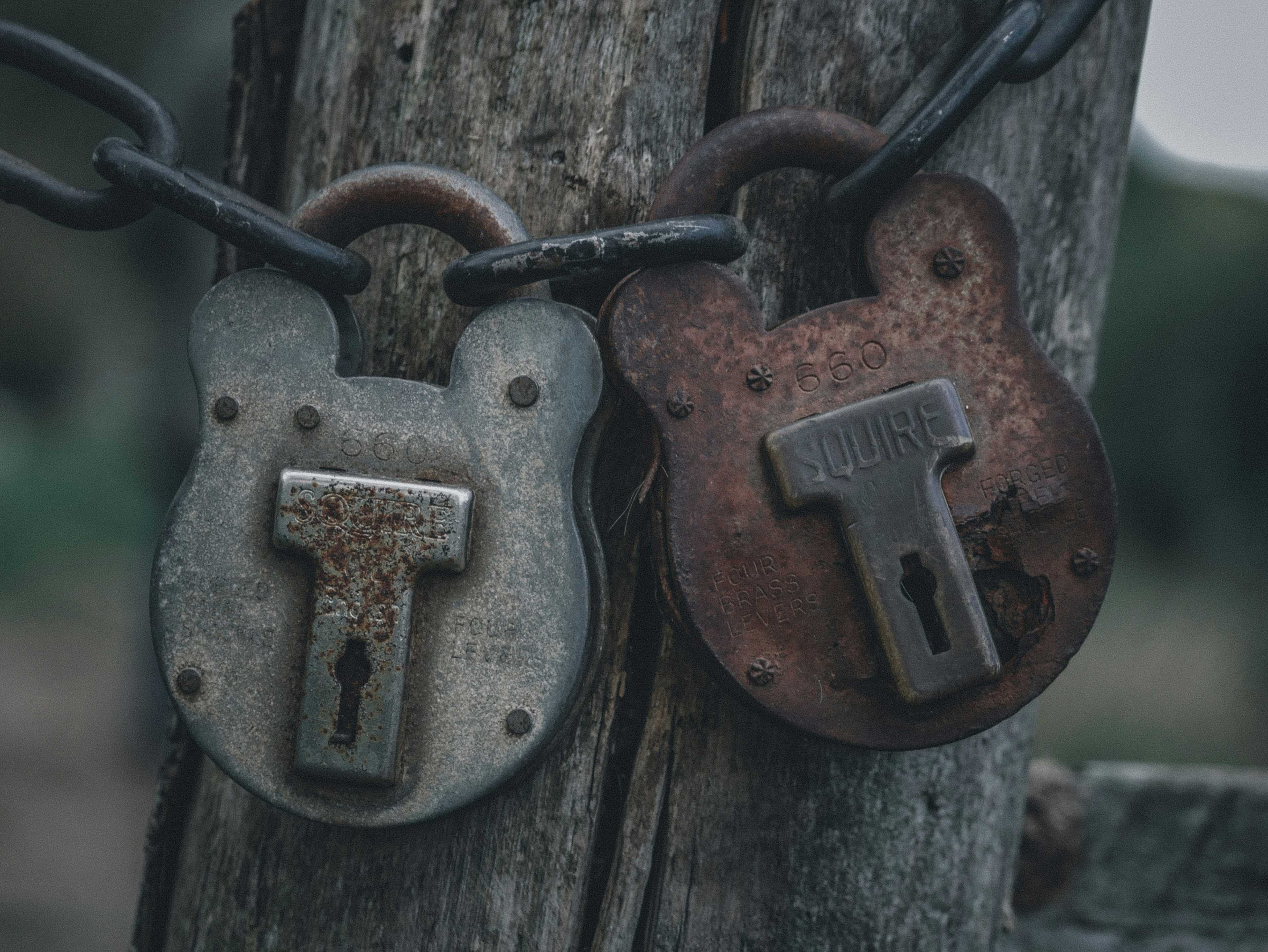 Image de couverture de l'article Redirection HTTPS vers WWW : Guide complet pour une configuration optimale de votre site web
