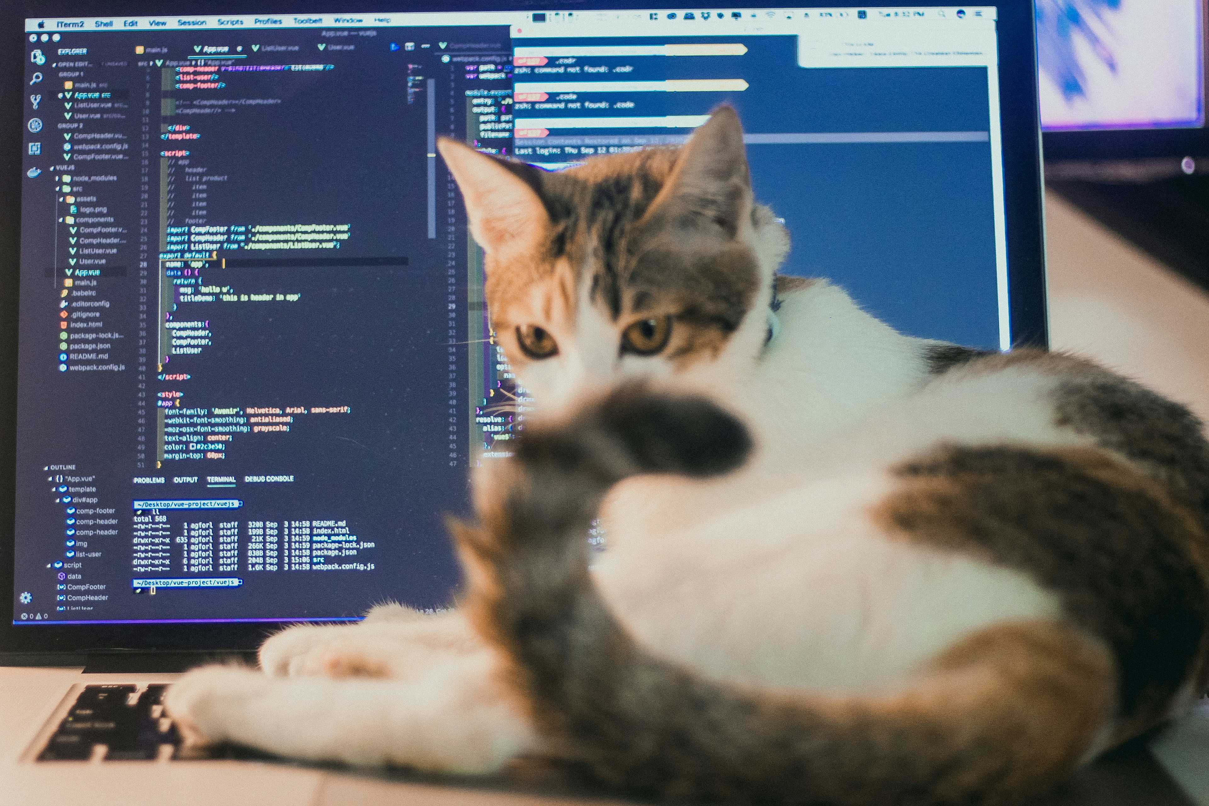 Image de couverture de l'article Symfony : Pourquoi choisir un expert pour la maintenance et l'évolution de vos applications web
