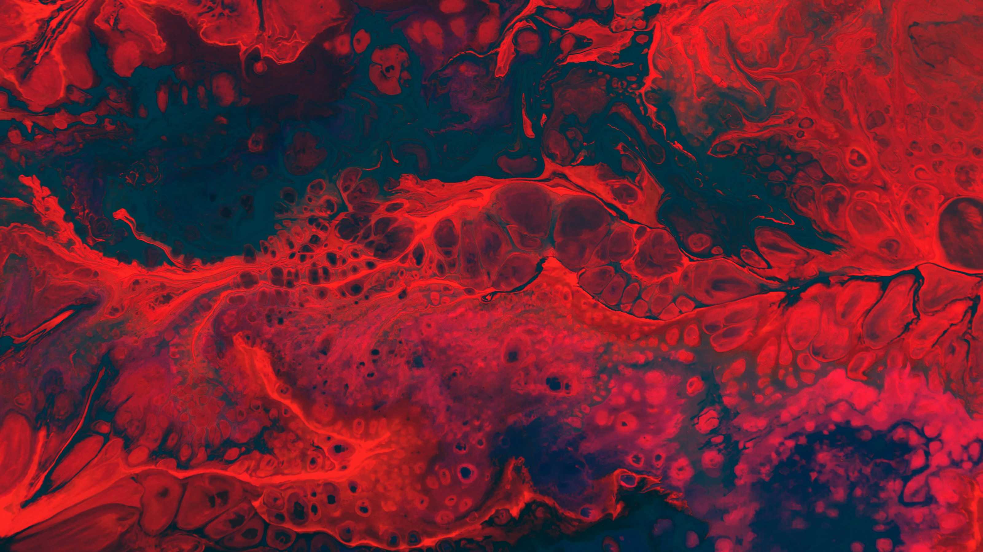 Image de couverture de l'article Créez un SaaS sur-mesure : Alliez technologie de pointe et innovation pour votre transformation digitale