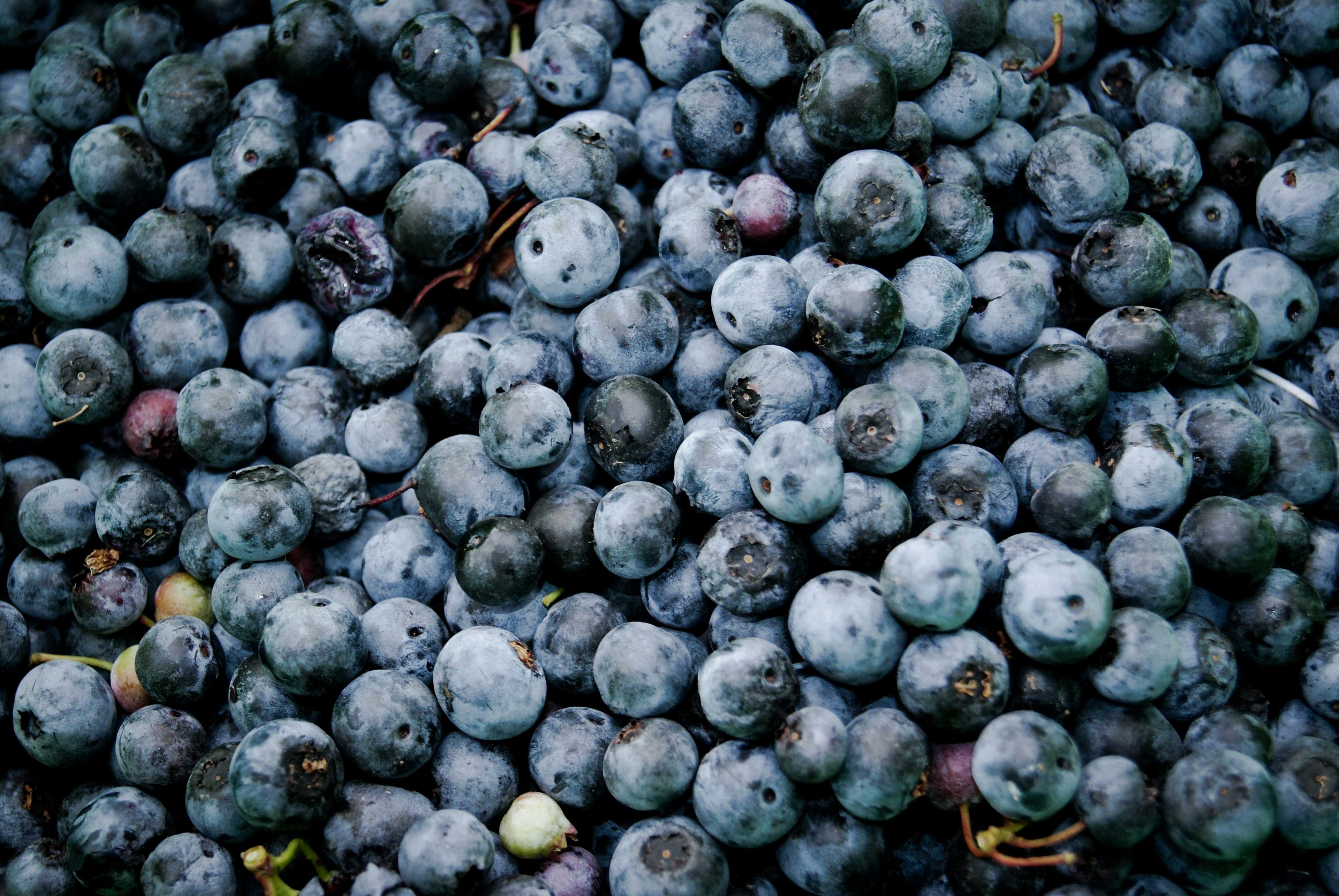 Image de couverture de l'article Révolutionner la nutrition personnalisée : Comment les applications de menus équilibrés transforment le métier des diététiciens