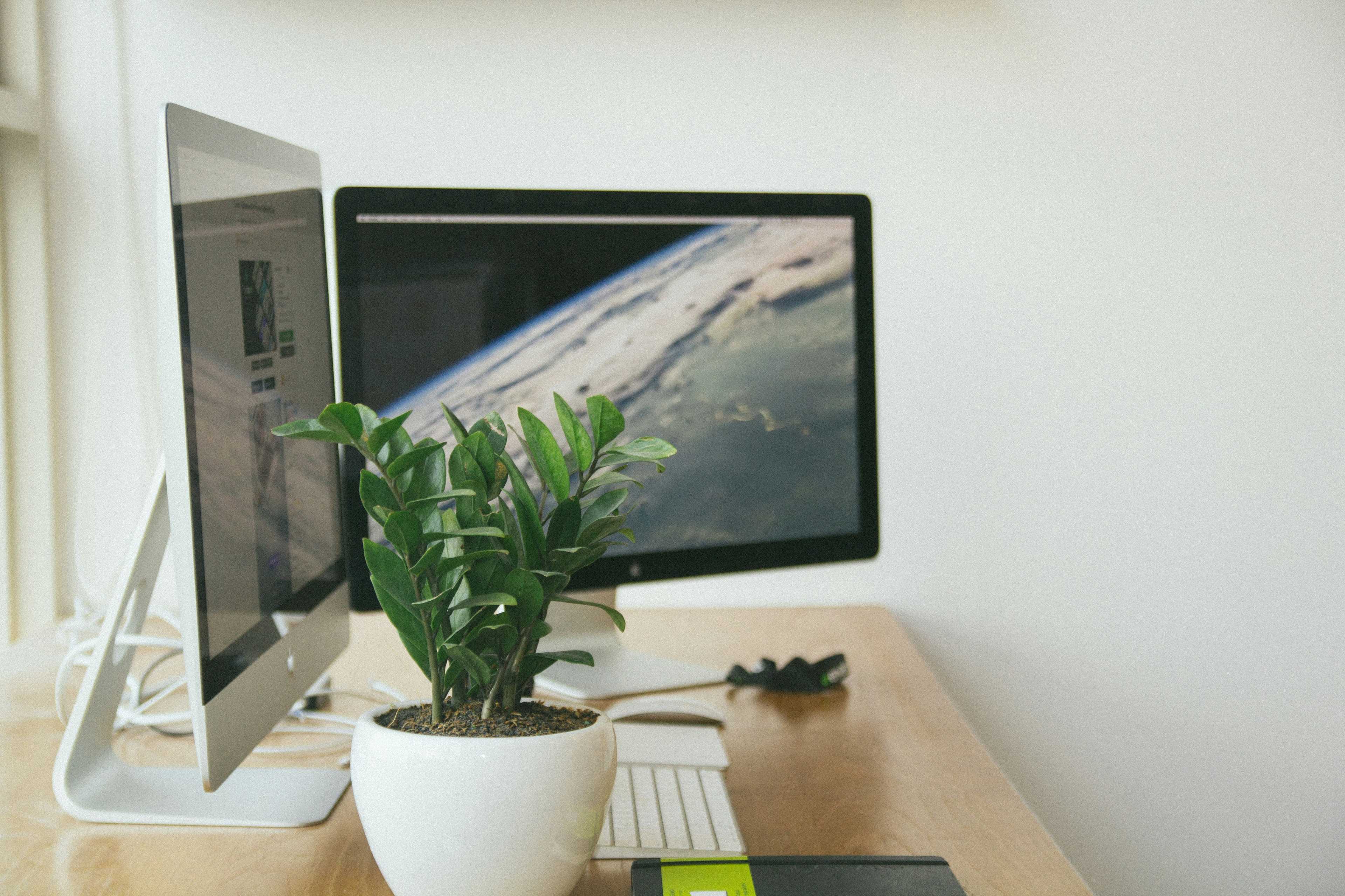 Image de couverture de l'article Développement d'applications sportives : comment allier expertise technique et passion pour réussir votre projet