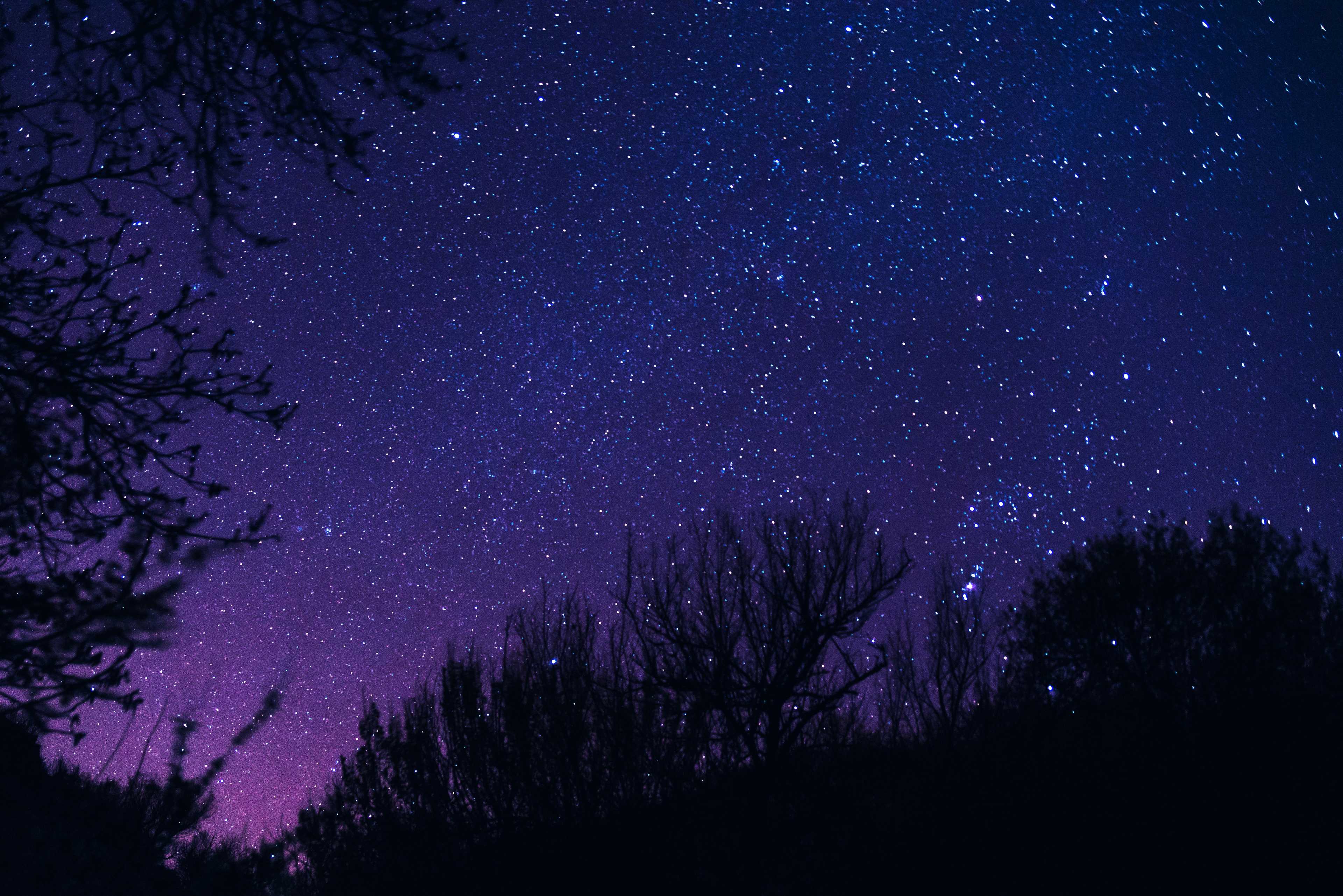 Image de couverture de l'article Comment créer un site d'astrologie performant : entre technologie et expérience utilisateur