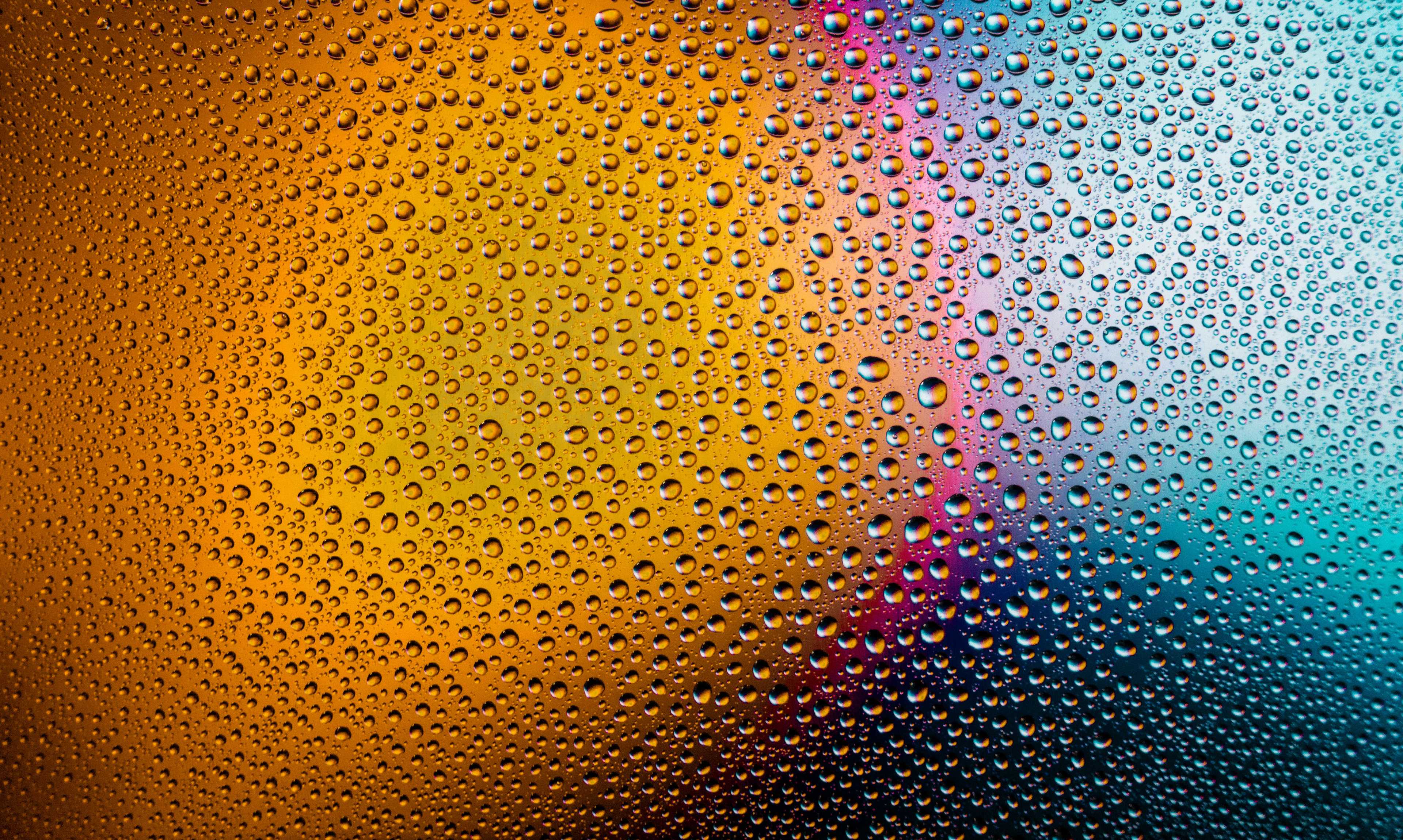 Image de couverture de l'article Créer une plateforme de petites annonces en ligne : entre simplicité et innovation
