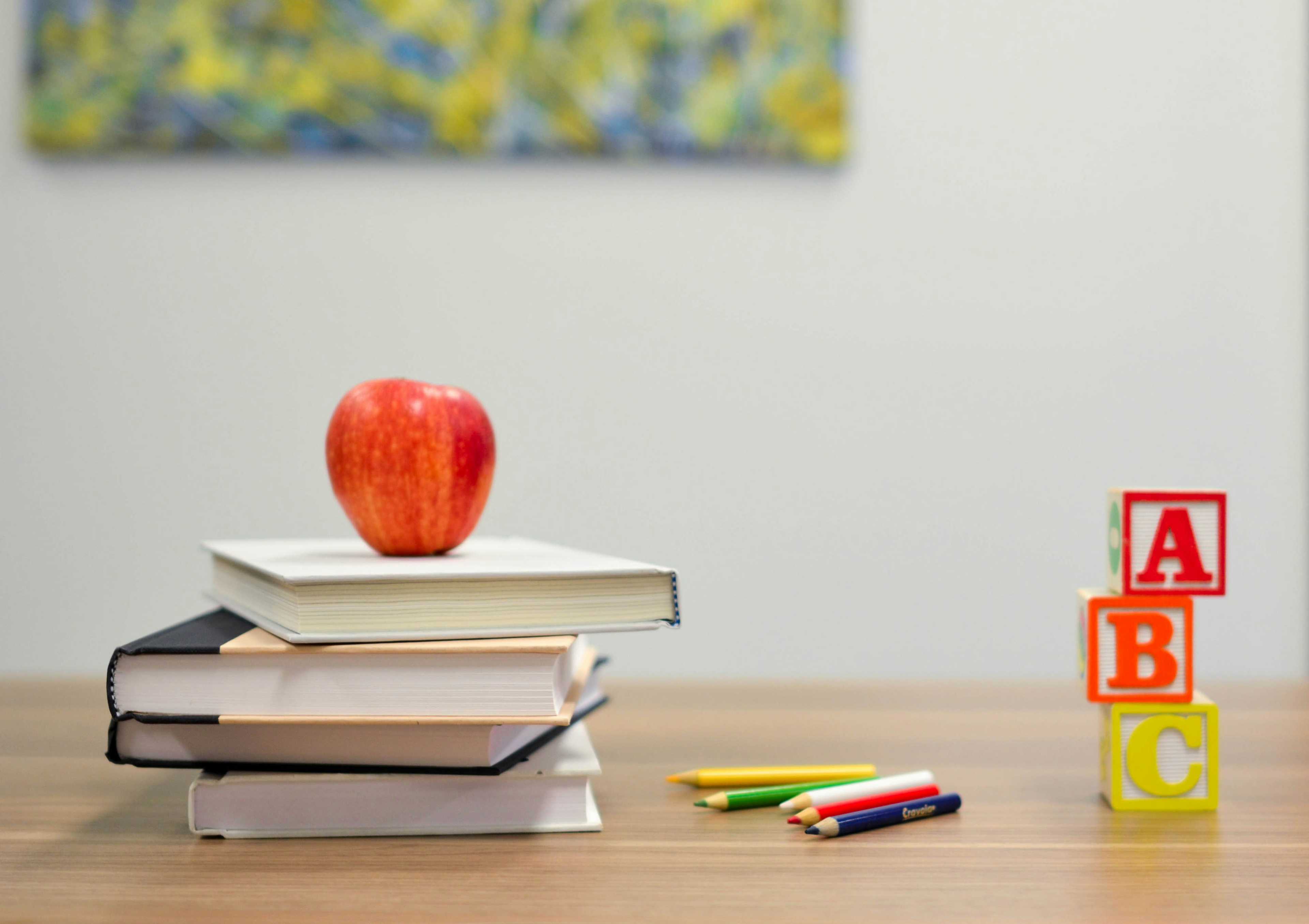 Image de couverture de l'article WordPress pour votre site vitrine : allier performance SEO et gestion de contenu efficace