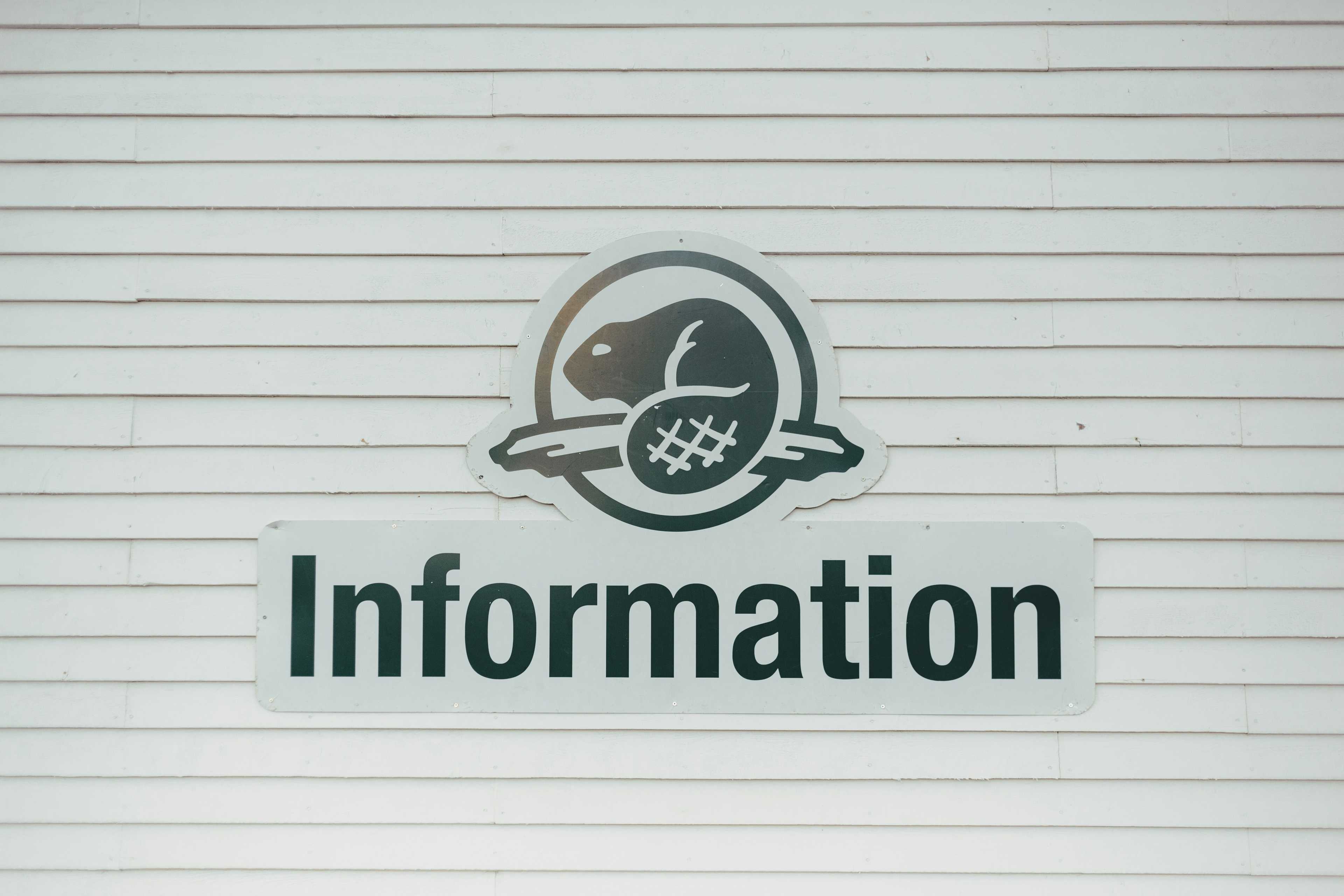 Image de couverture de l'article Optimiser l'intégration de contenu sur WordPress : Stratégies avancées pour des sites performants