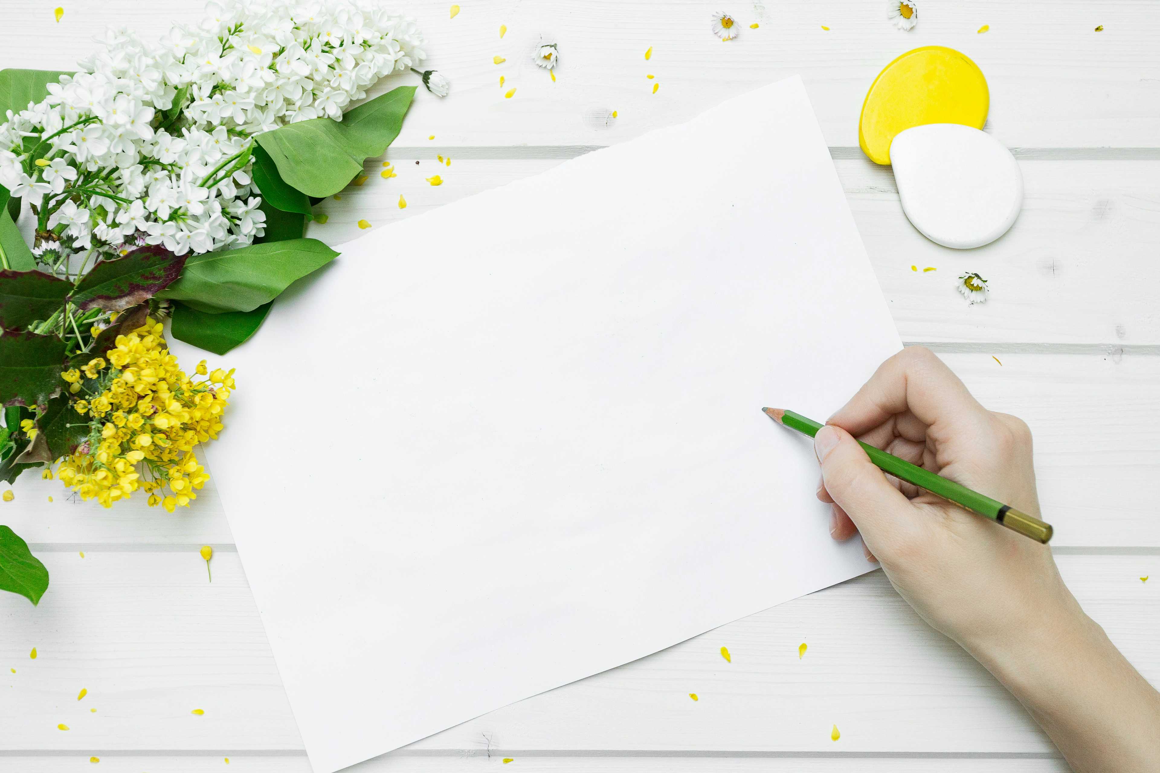 Image de couverture de l'article Migration vers WordPress : Comment réussir le transfert de votre site web sans perdre en performance