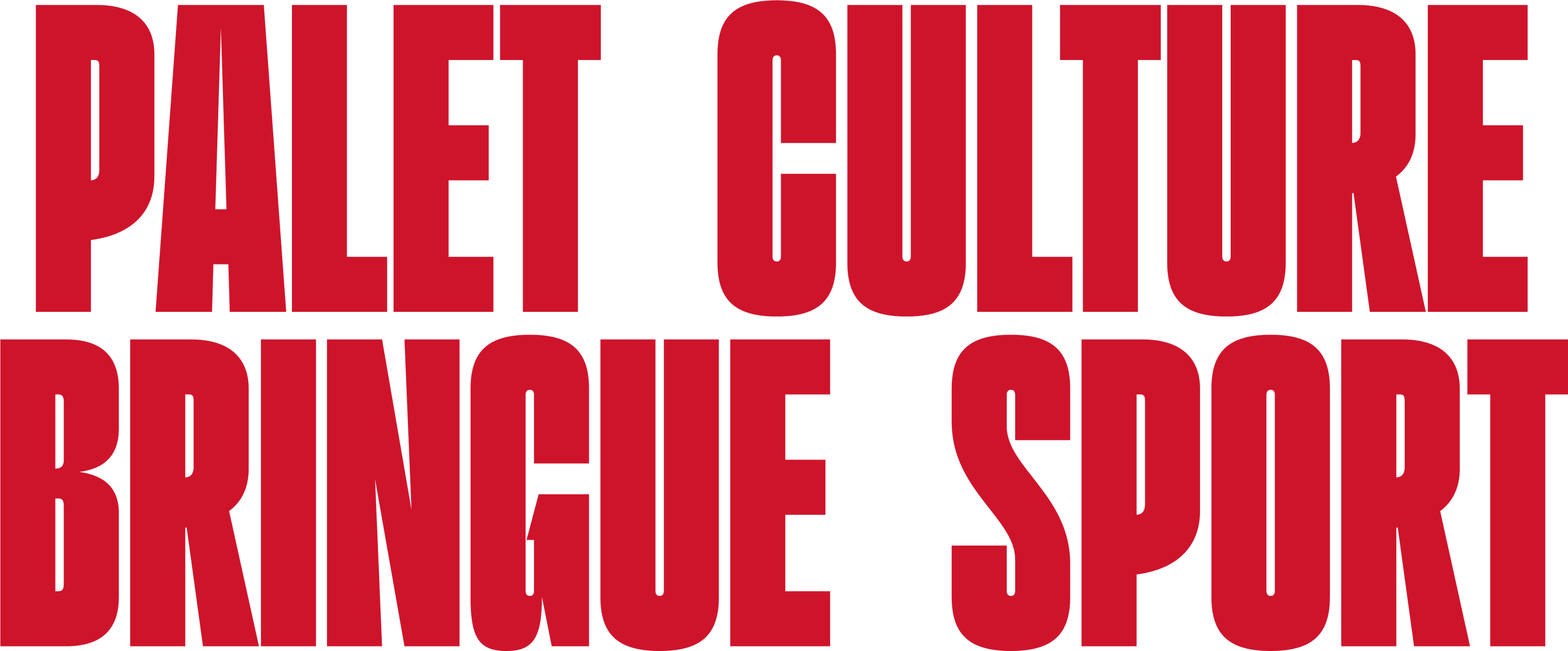 Le slogan de La Ptite Planche : PALET, CULTURE, BRINGUE, SPORT