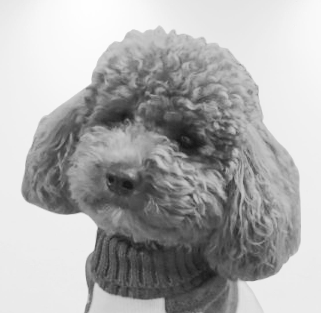 Photo de profil de Hubert