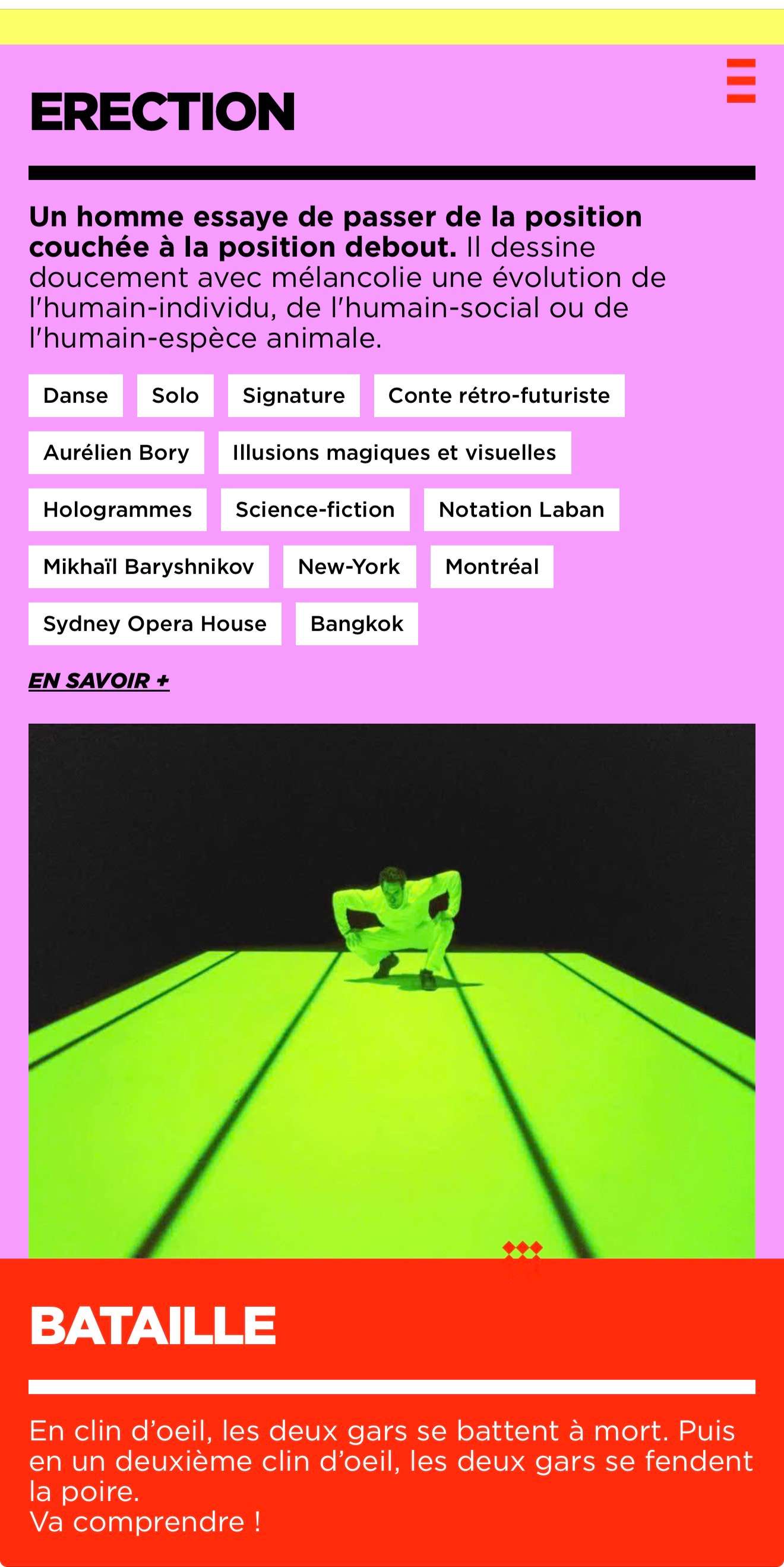 Image du site web Pierre Rigal format mobile