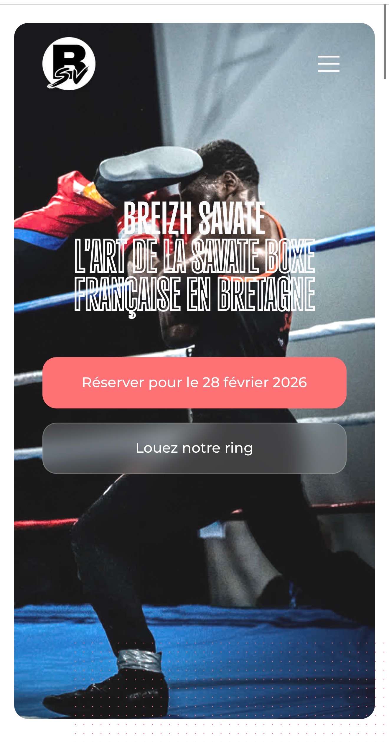 Image du projet Breizh Savate