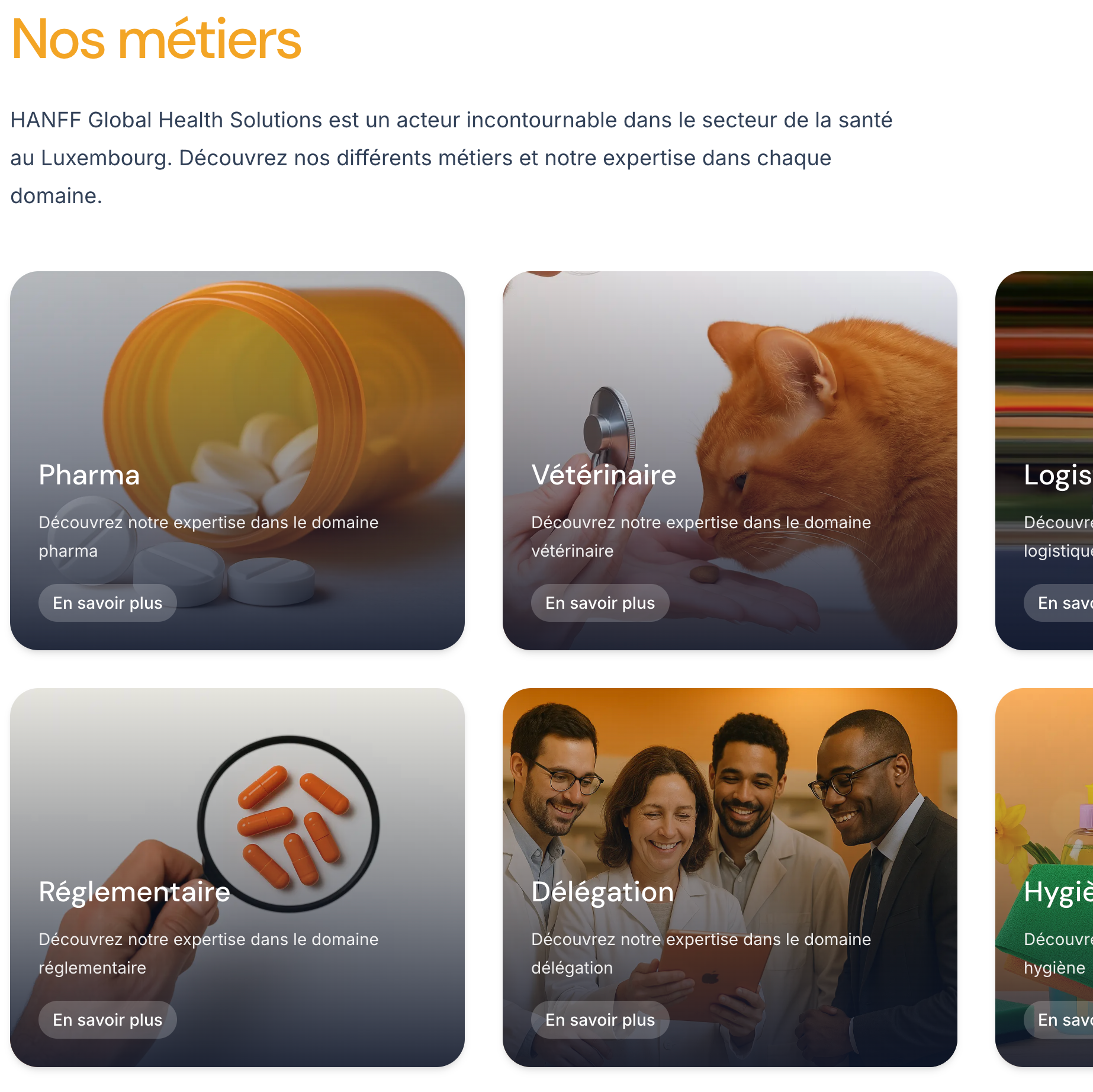 Image du site web Hanff en petit format