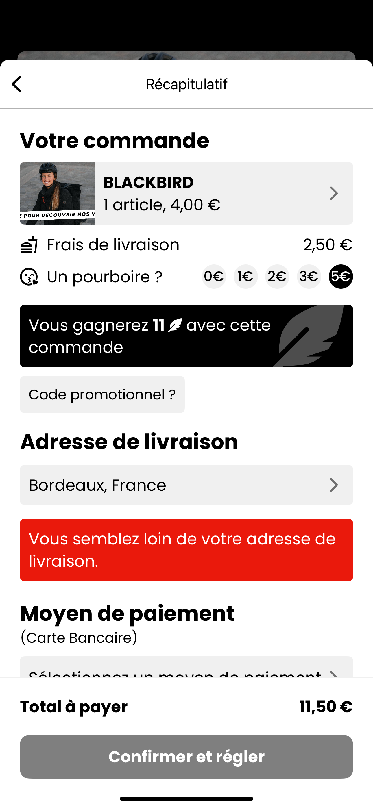 Image du site web Blackbird en petit format