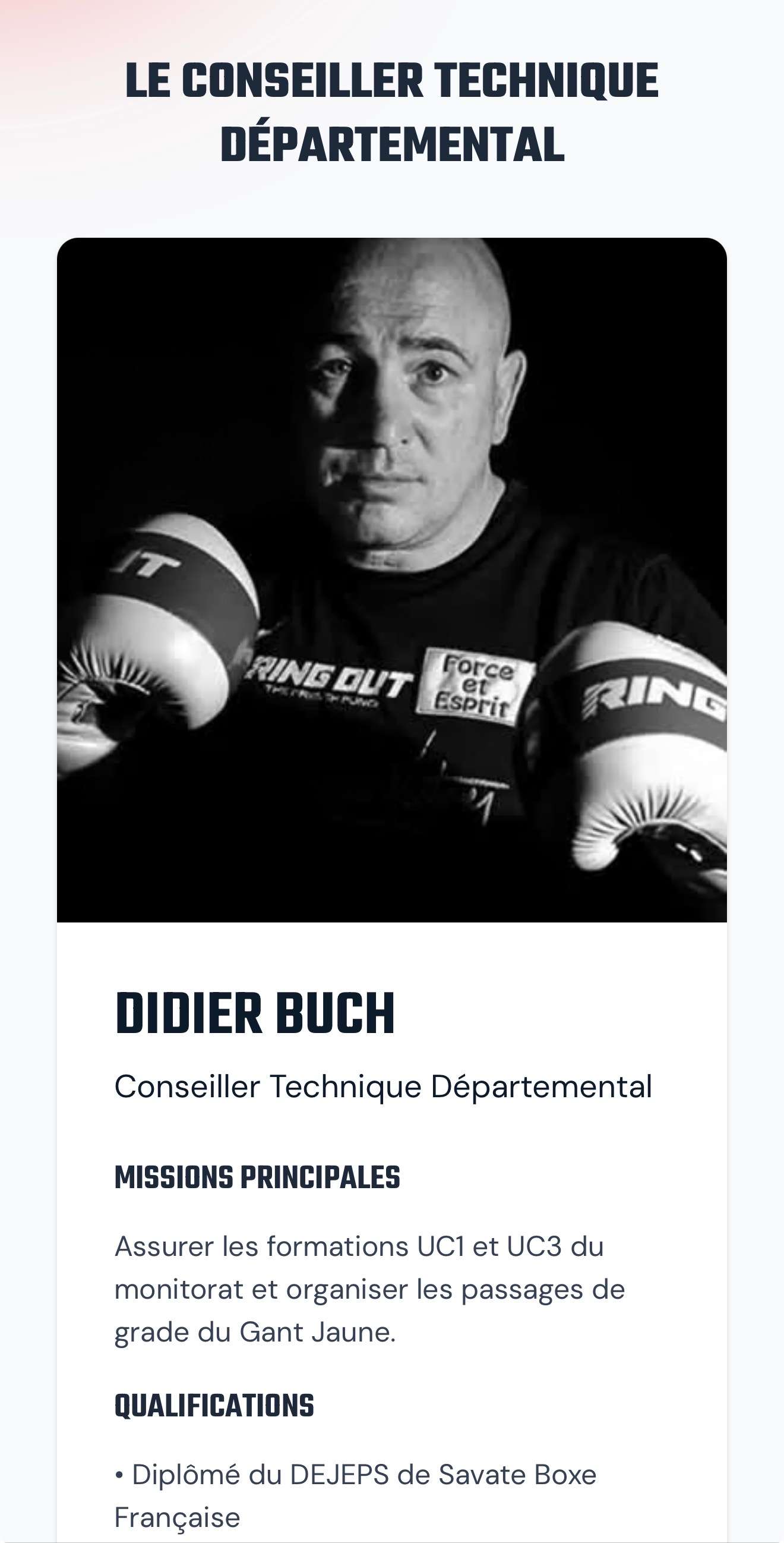 Image du site web cd56 format mobile