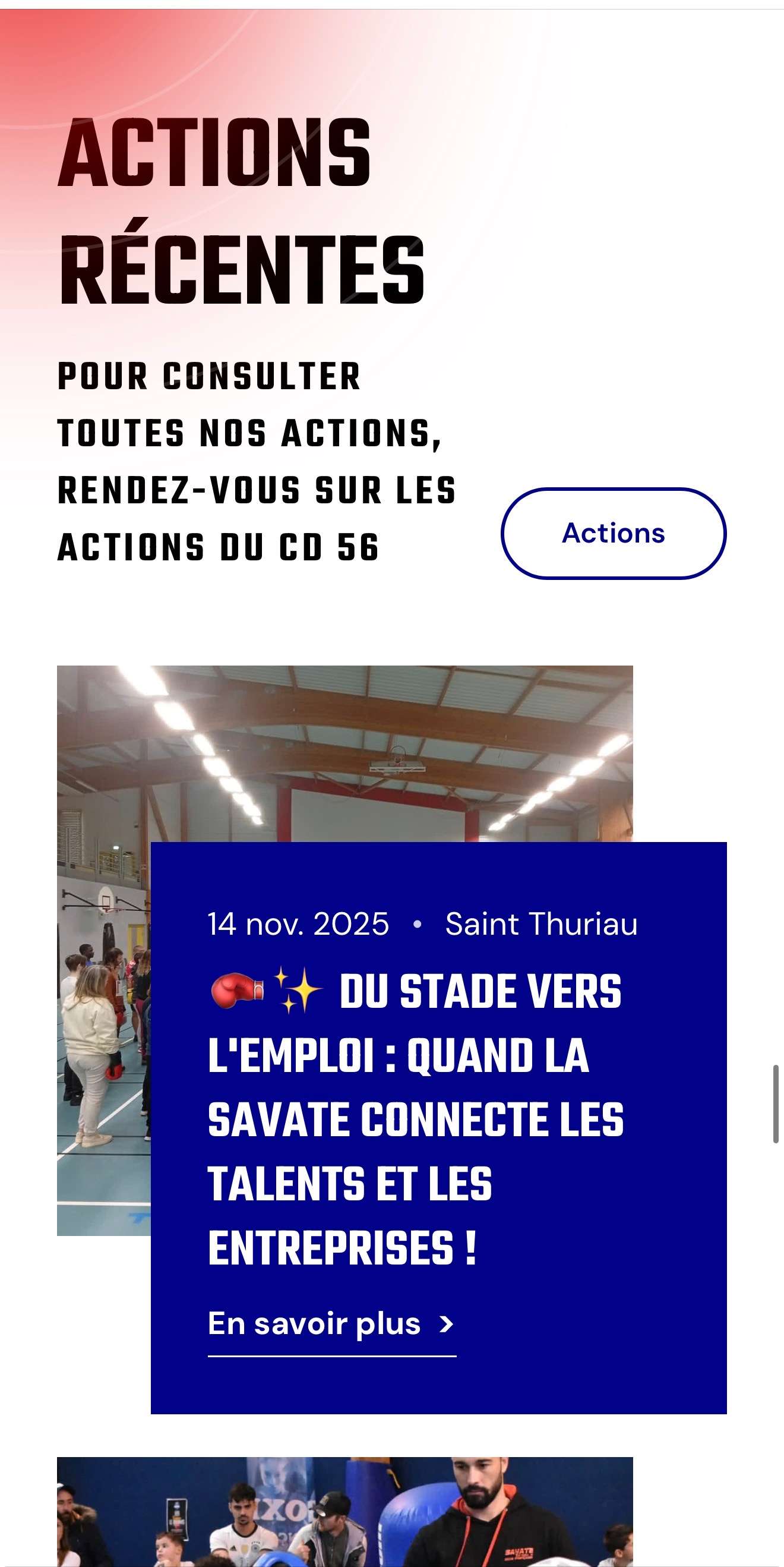 Image du site web cd56 format mobile