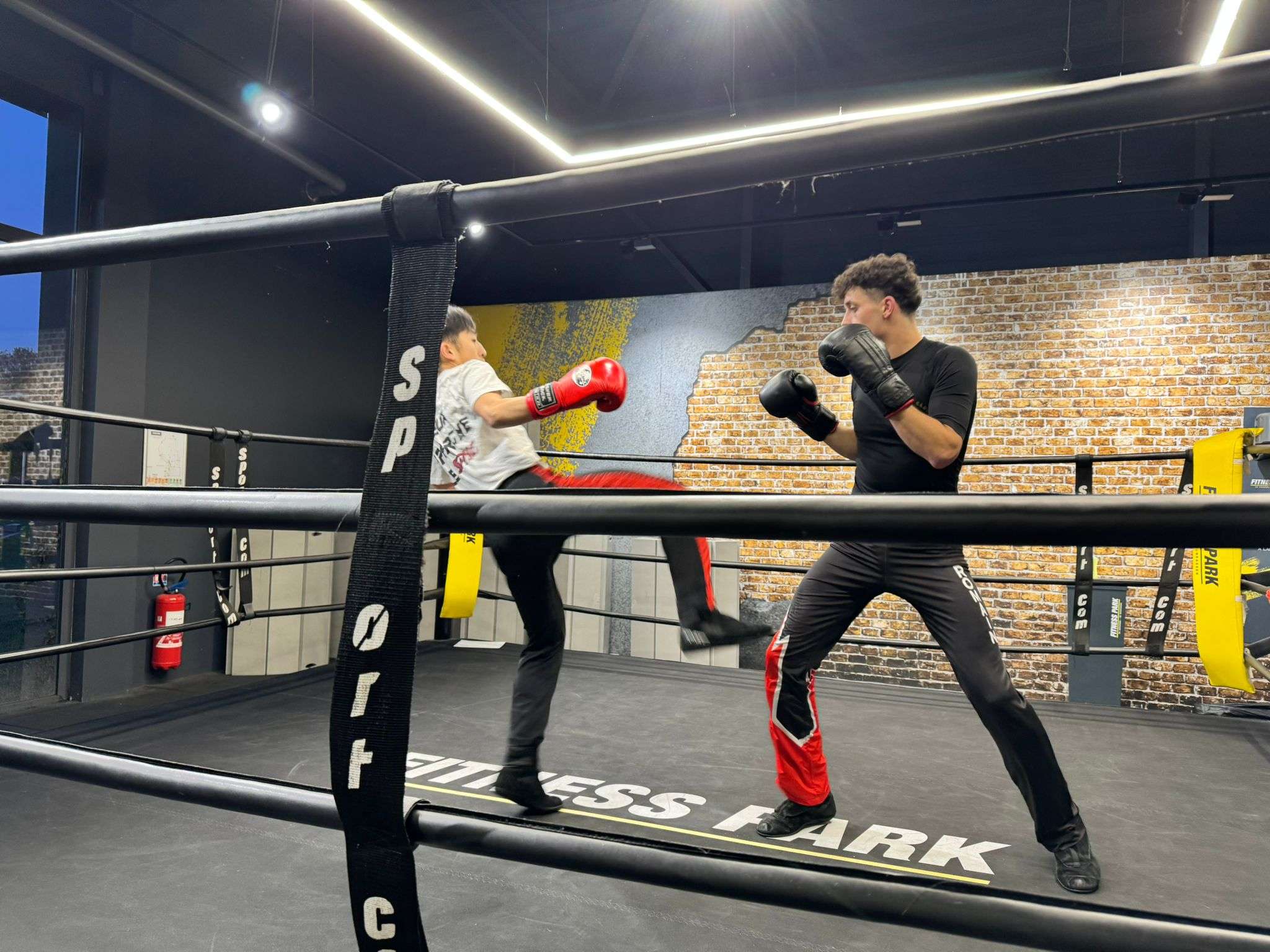 Photo 1 - Gant Jaune - Examen 2026